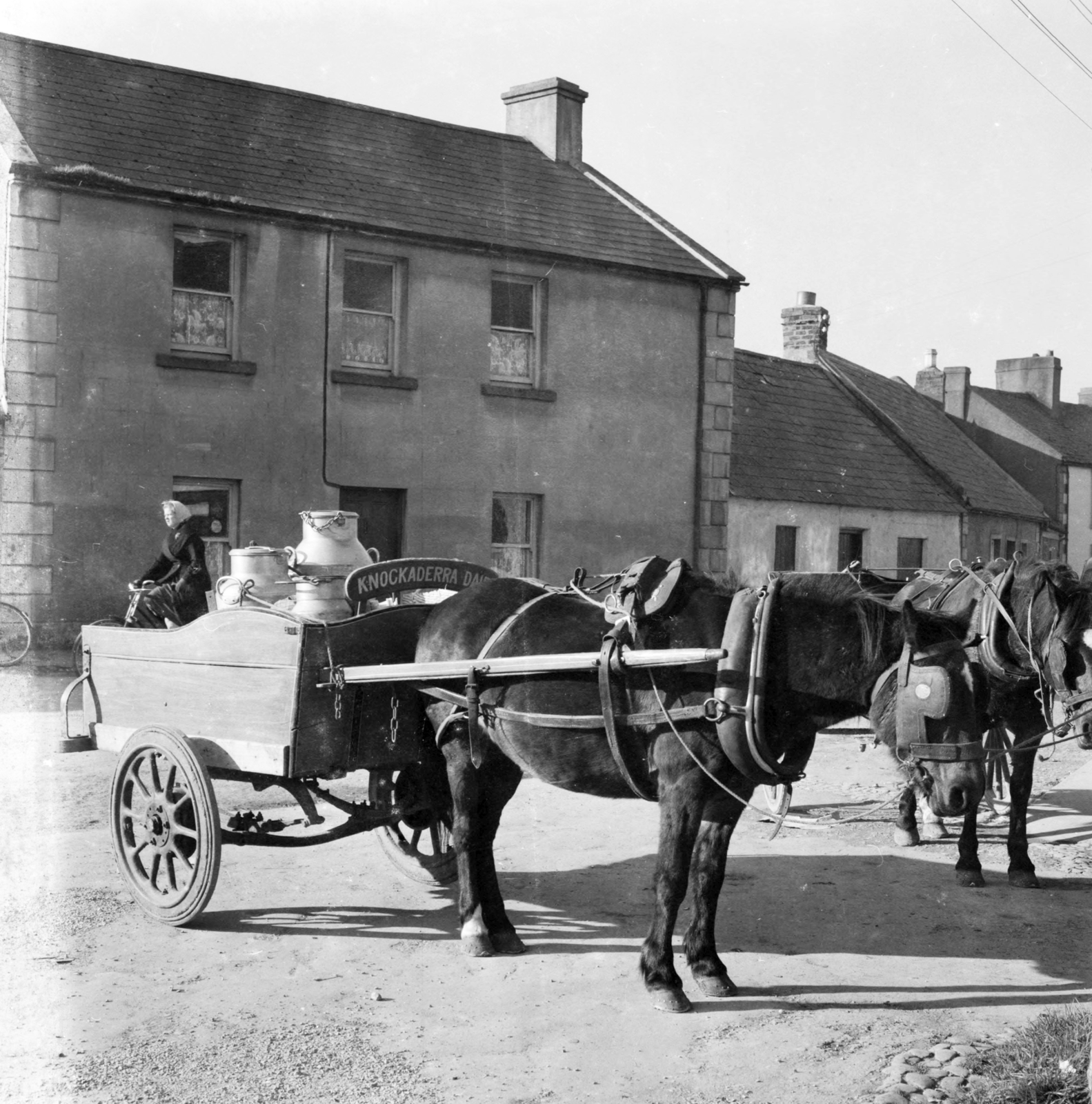 a Knockadarra Dairy (később Knockaderry House)., 1956, UWM Libraries, photo aspect ratio: square, horse, milk can, cart, Fortepan #259969