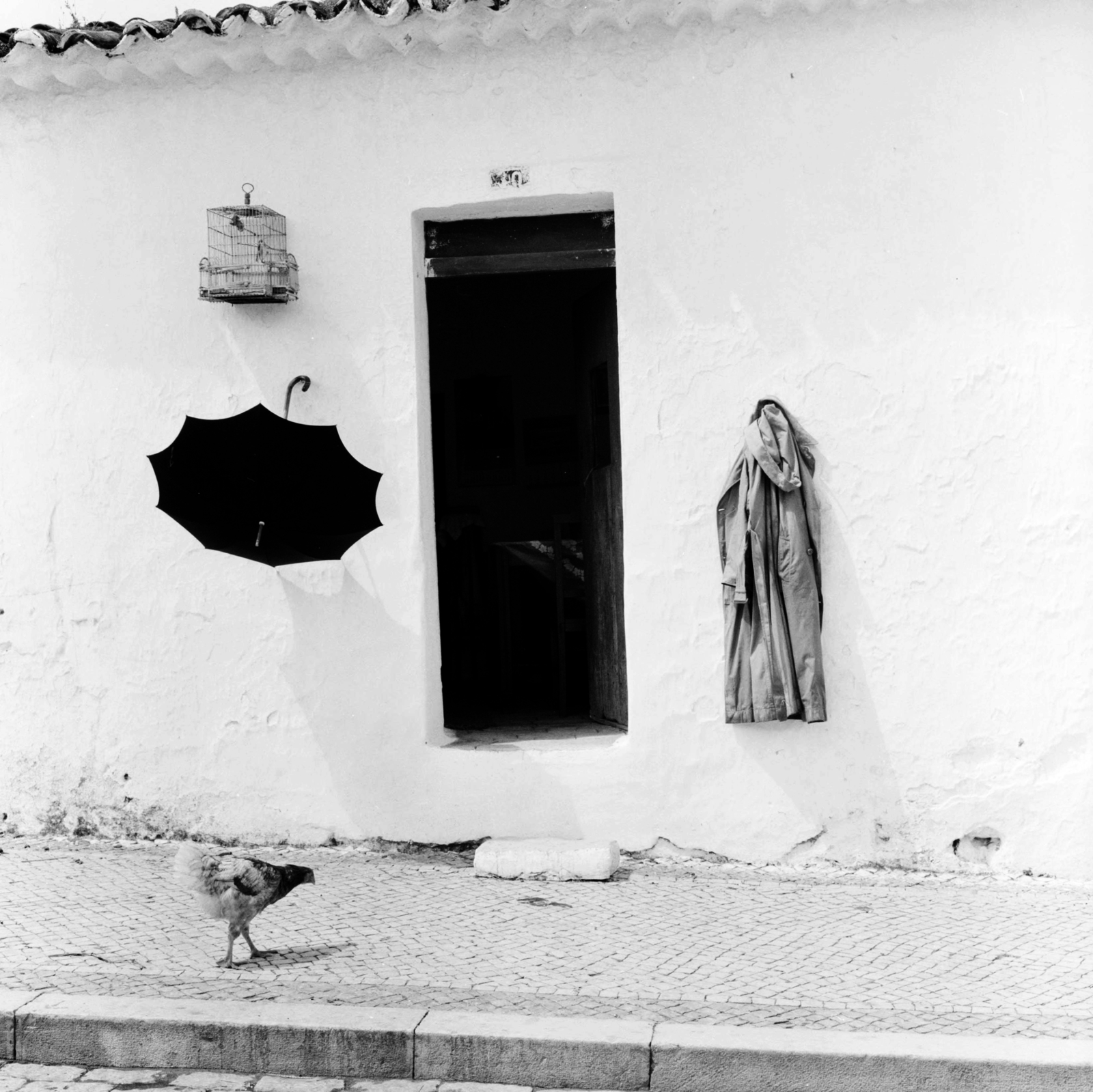 Portugal, 1959, UWM Libraries, Best of, umbrella, coat, bird cage, poultry, Fortepan #260000