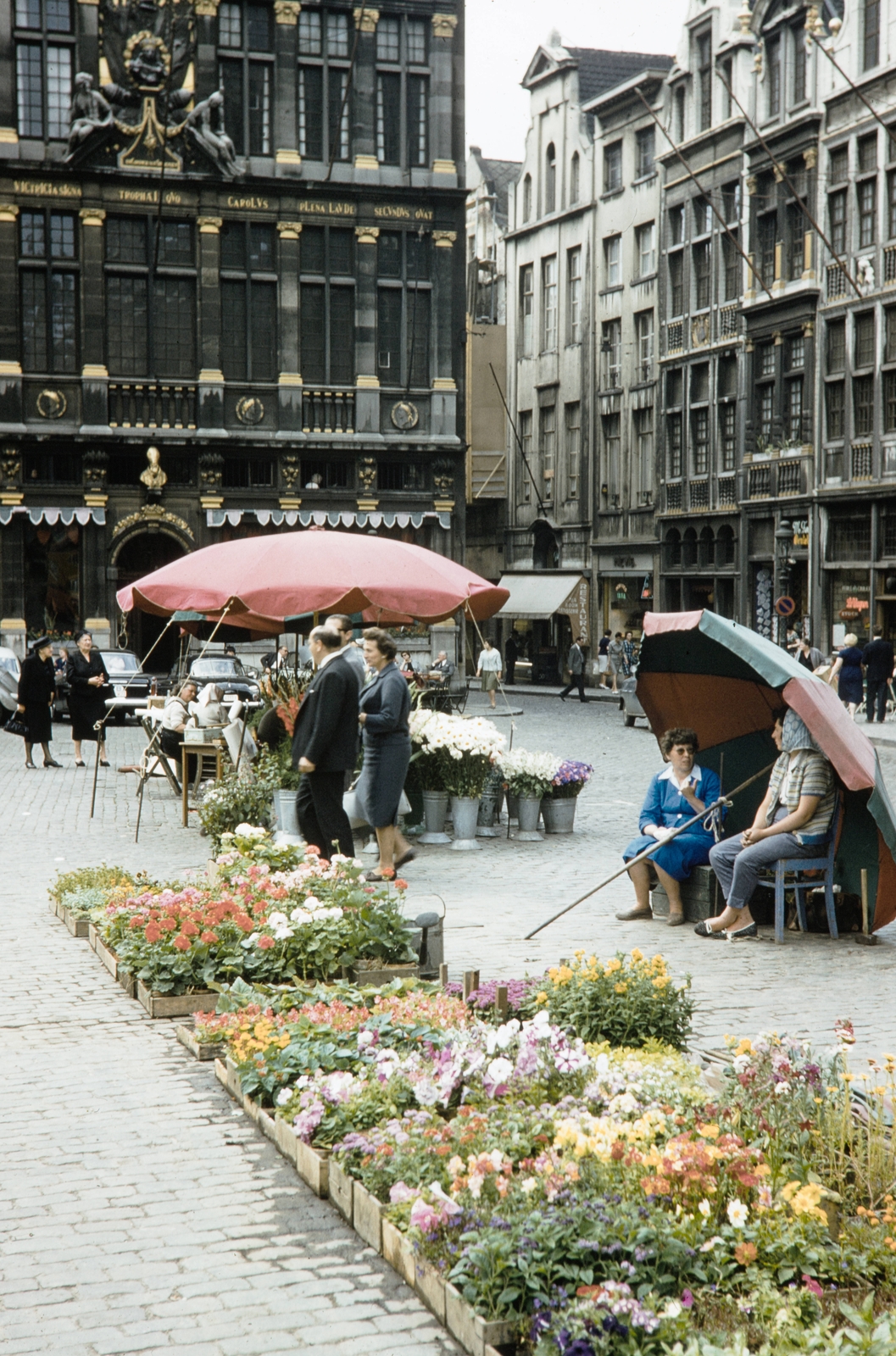 Belgium, Bruxelles, Grand Place / Grote Markt, a város főtere. Szemben jobbra a Rue au Beurre / Boterstraat., 1960, UWM Libraries, colorful, market, sunshades, flower, Fortepan #260042