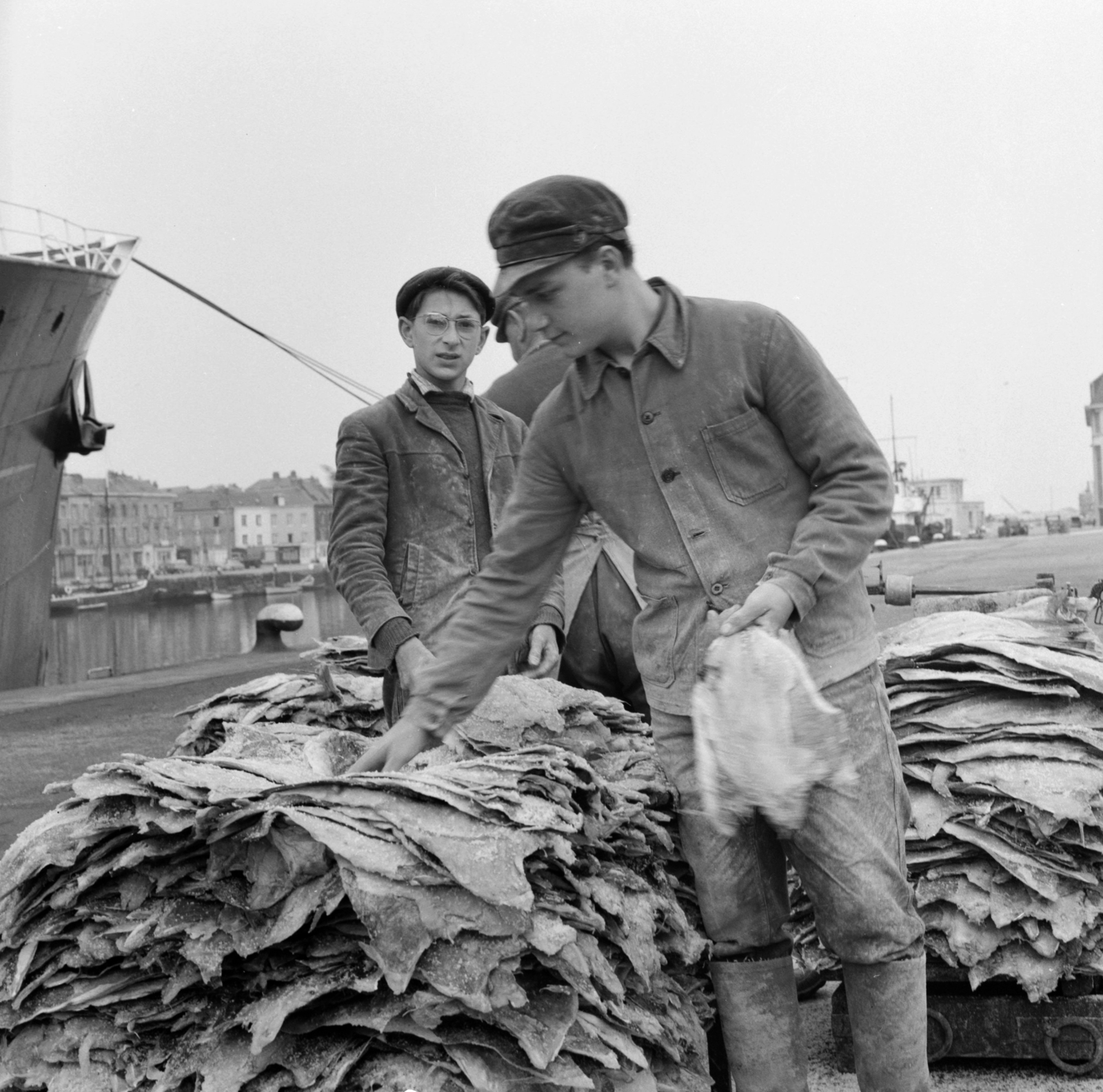 France, sózással és szárítással tartósított tőkehal rakodása a kikötőben., 1958, UWM Libraries, photo aspect ratio: square, fish, Fortepan #260055