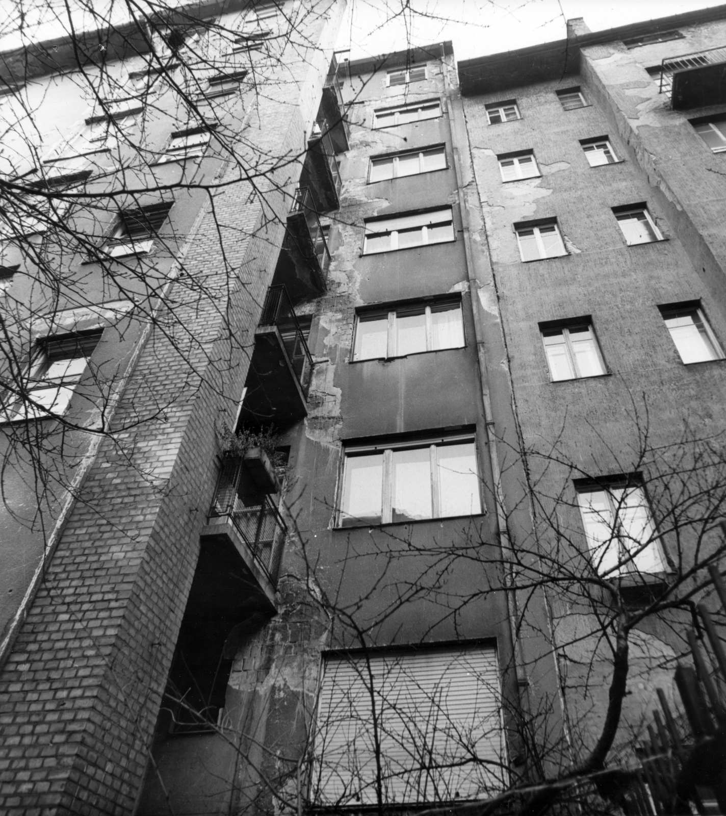 Hungary, Budapest IX., Lónyay (Szamuely) utca 39/a számú ház udvara., 1970, Ferencvárosi Helytörténeti Gyűjtemény, Budapest, Fortepan #26008