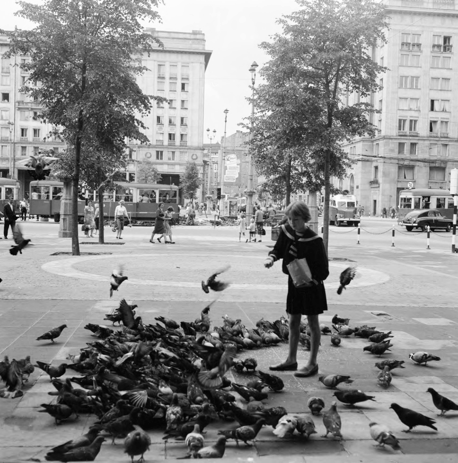 Lengyelország, Varsó, Alkotmány tér (Plac Konstytucji), szemben az ulica Koszykowa, jobbra az ulica Marszalkowska., 1959, UWM Libraries, Clarence Woodrow Sorensen, madár, madáretetés, villamos, matrózblúz, Fortepan #260083