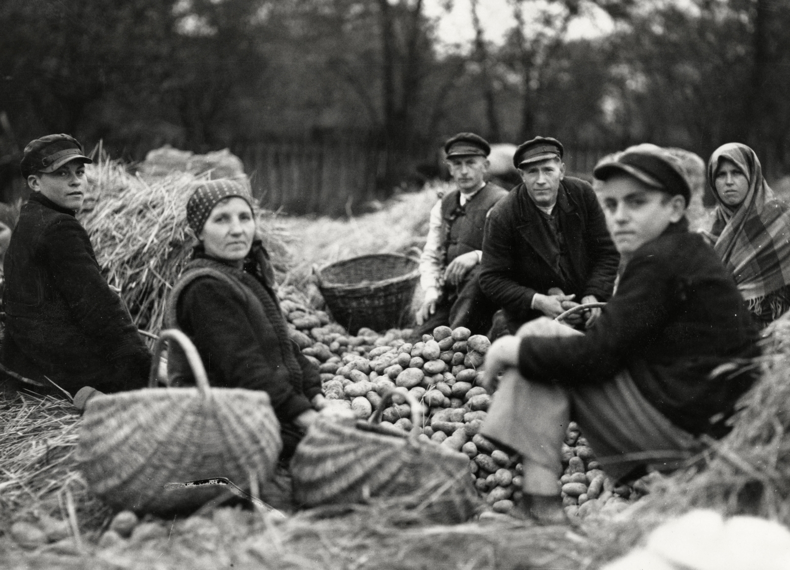 Lengyelország, a felvétel Varsó-tól délkeletre kb.52 km-re készült, útközben Lublin felé., 1934, UWM Libraries, Boyd Louise Arner, krumpli, kosár, Fortepan #260118