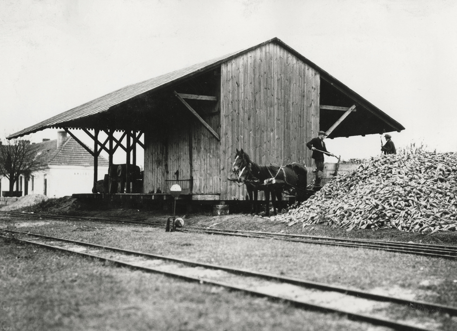Poland, a felvétel a település külső területén, a vasútállomásnál készült, jobbra cukorrépa halom., 1934, UWM Libraries, Fortepan #260144