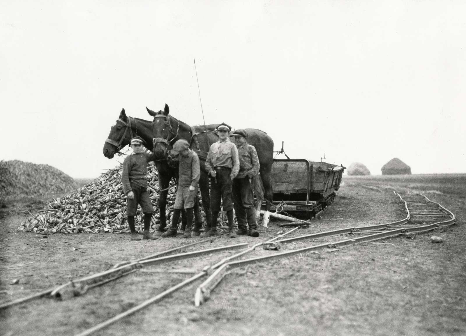 Poland, a felvétel Kalisz-tól kb.19 km-re készült, útközben Konin felé., 1934, UWM Libraries, horse, men, Fortepan #260167