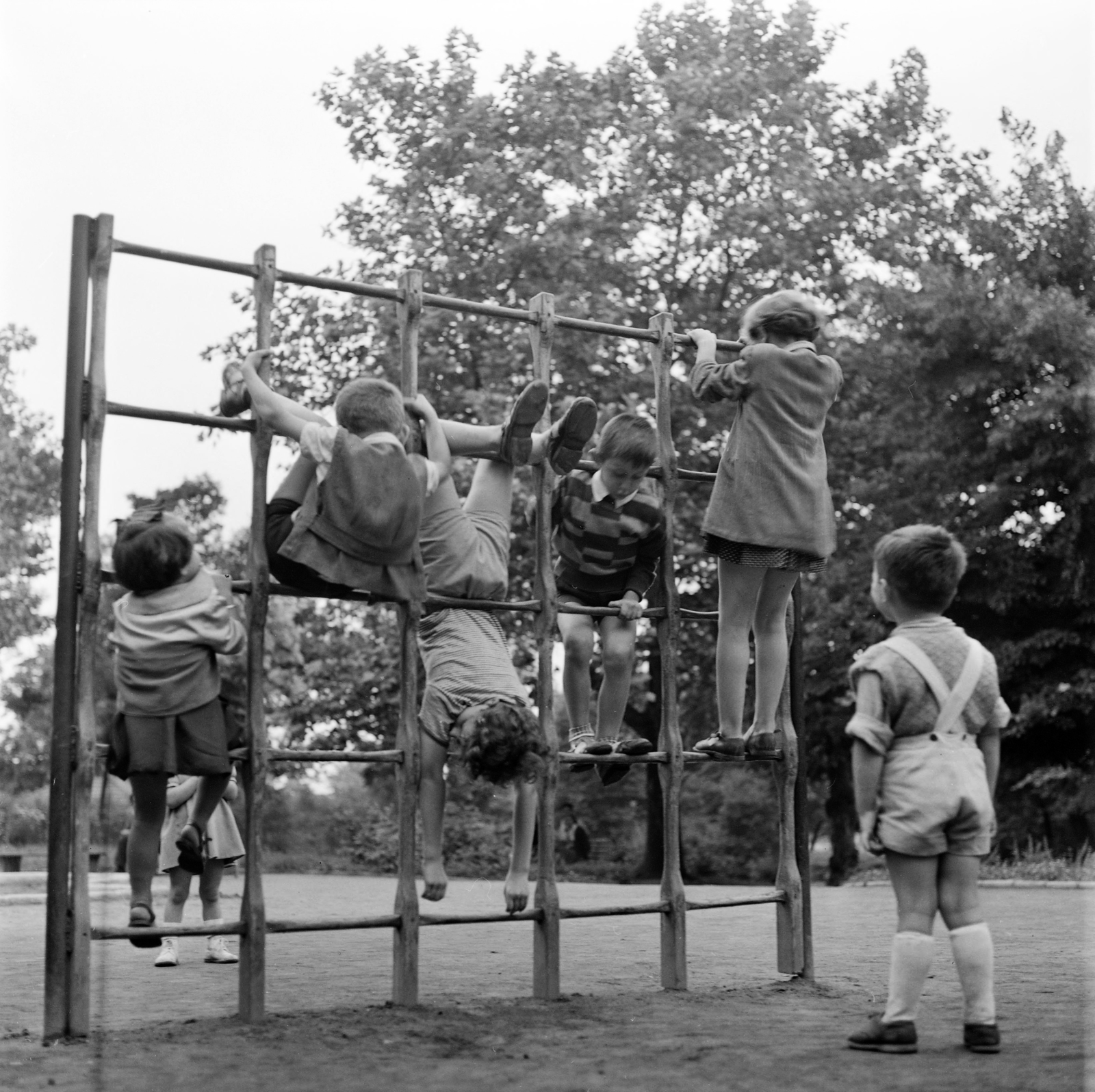 Serbia, Belgrade, játszótér., 1955, UWM Libraries, feat, kids, monkey bar, photo aspect ratio: square, Fortepan #260566