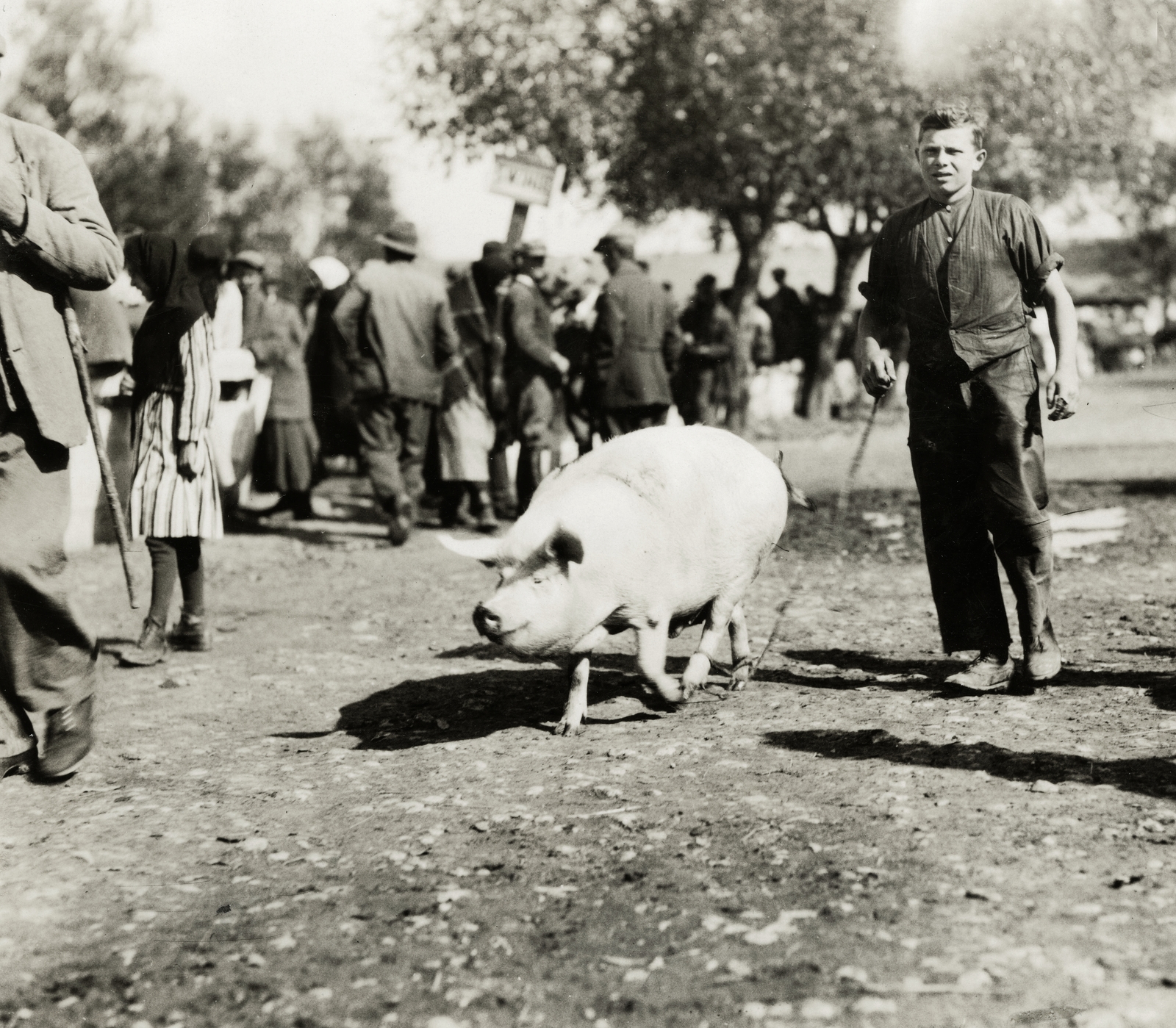 Ukraine, Zoloshiv, (ekkor Złoczów), piac., 1934, UWM Libraries, pig, Fortepan #260745
