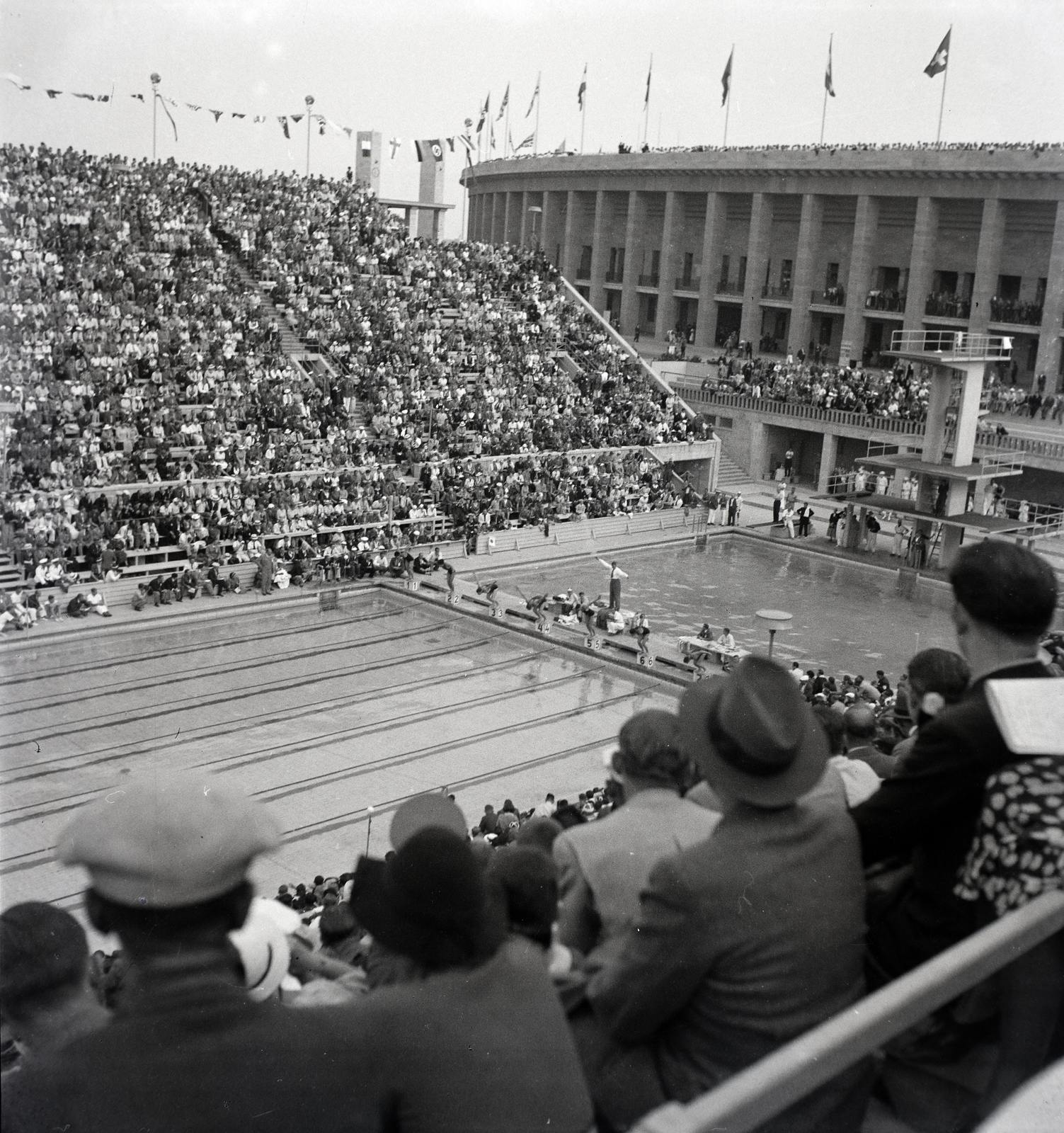 Németország, Berlin, Olimpiai Úszóstadion, a XI. nyári olimpiai játékok alatt., 1936, Lőrincze Judit, úszás, uszoda, Berlini Olimpia, olimpia, ugrótorony, Fortepan #26093