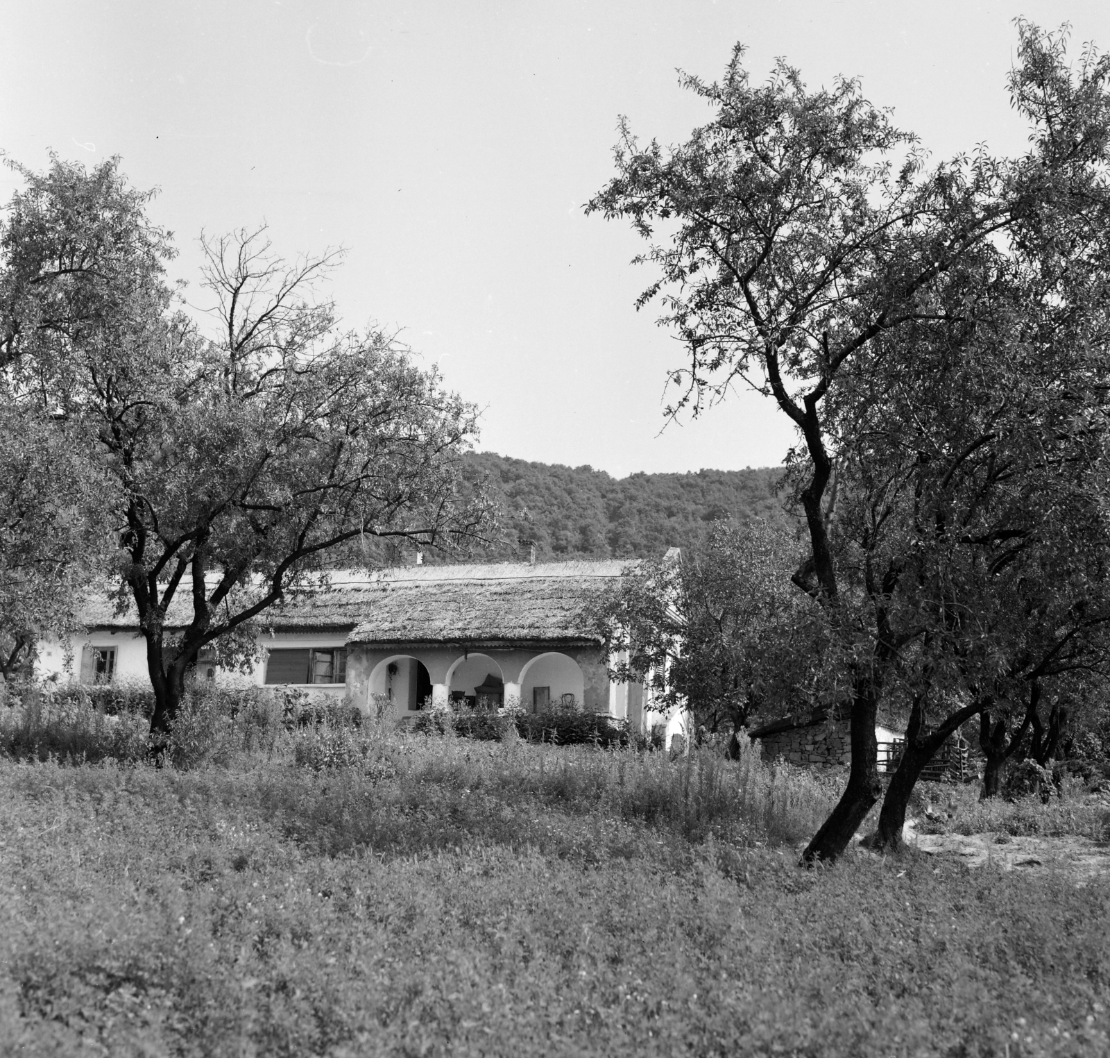 Hungary,Lake Balaton, Badacsonytomaj,Badacsony, 1965, Faragó György, vernacular architecture, porch, thatch roof, Fortepan #260983