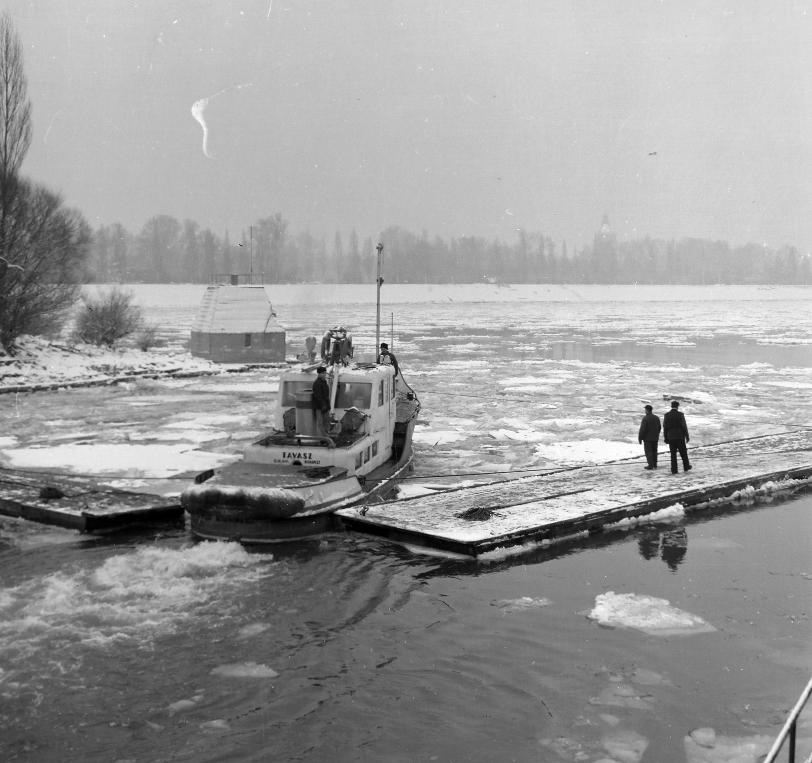 Hungary, Óbuda, Budapest III., Duna-ág a Hajógyári-sziget végénél, a Tavasz vontató motorhajó pontont mozgat az Árpád híd közelében., 1967, Faragó György, ice breaking, pontoon bridge, icebreaker, Budapest, Fortepan #261060