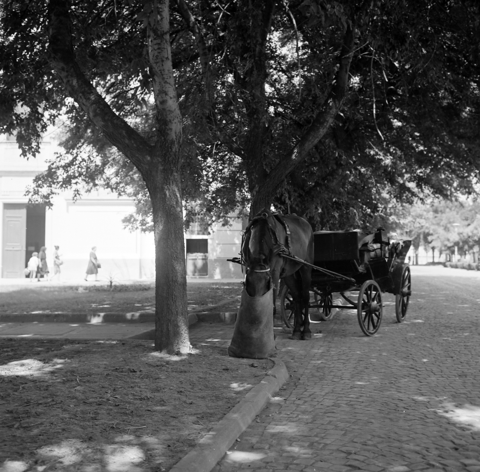 Hungary, Gyula, Harruckern tér, balra a Nádi Boldogasszony-templom., 1968, Faragó György, Fortepan #261108