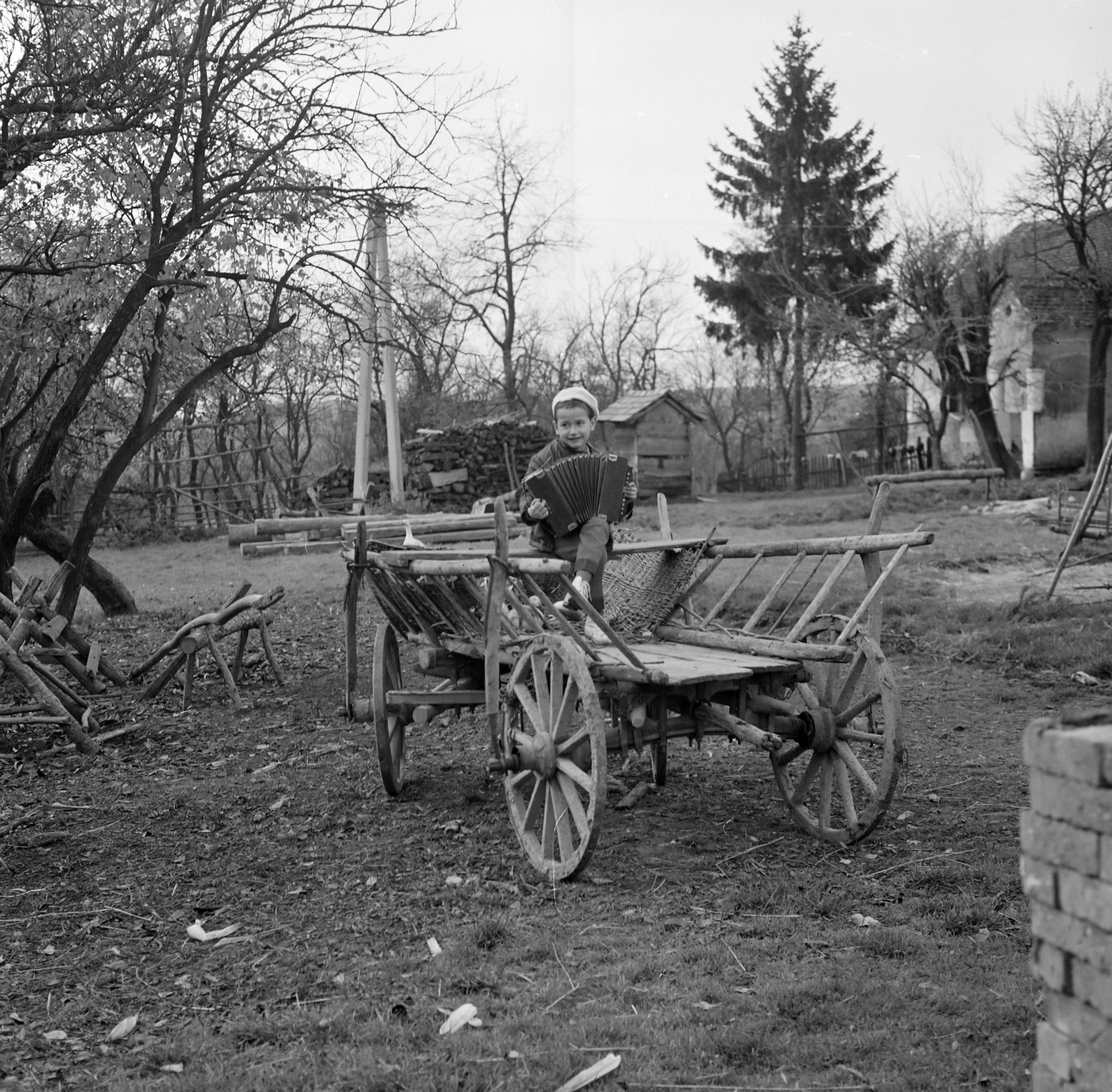 1966, Faragó György, Best of, accordion, chariot, Fortepan #261198