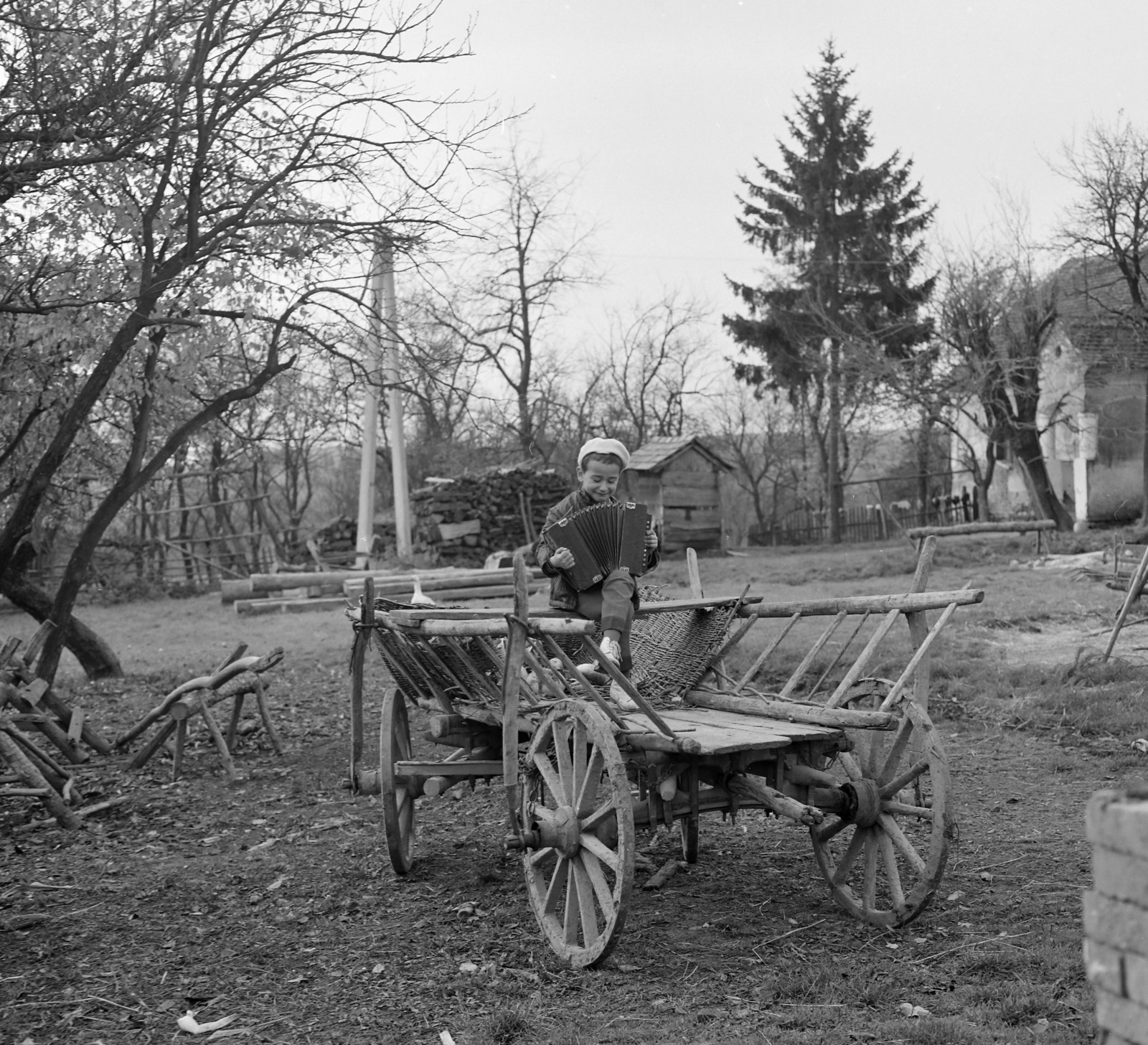 1966, Faragó György, szekér, Fortepan #261199