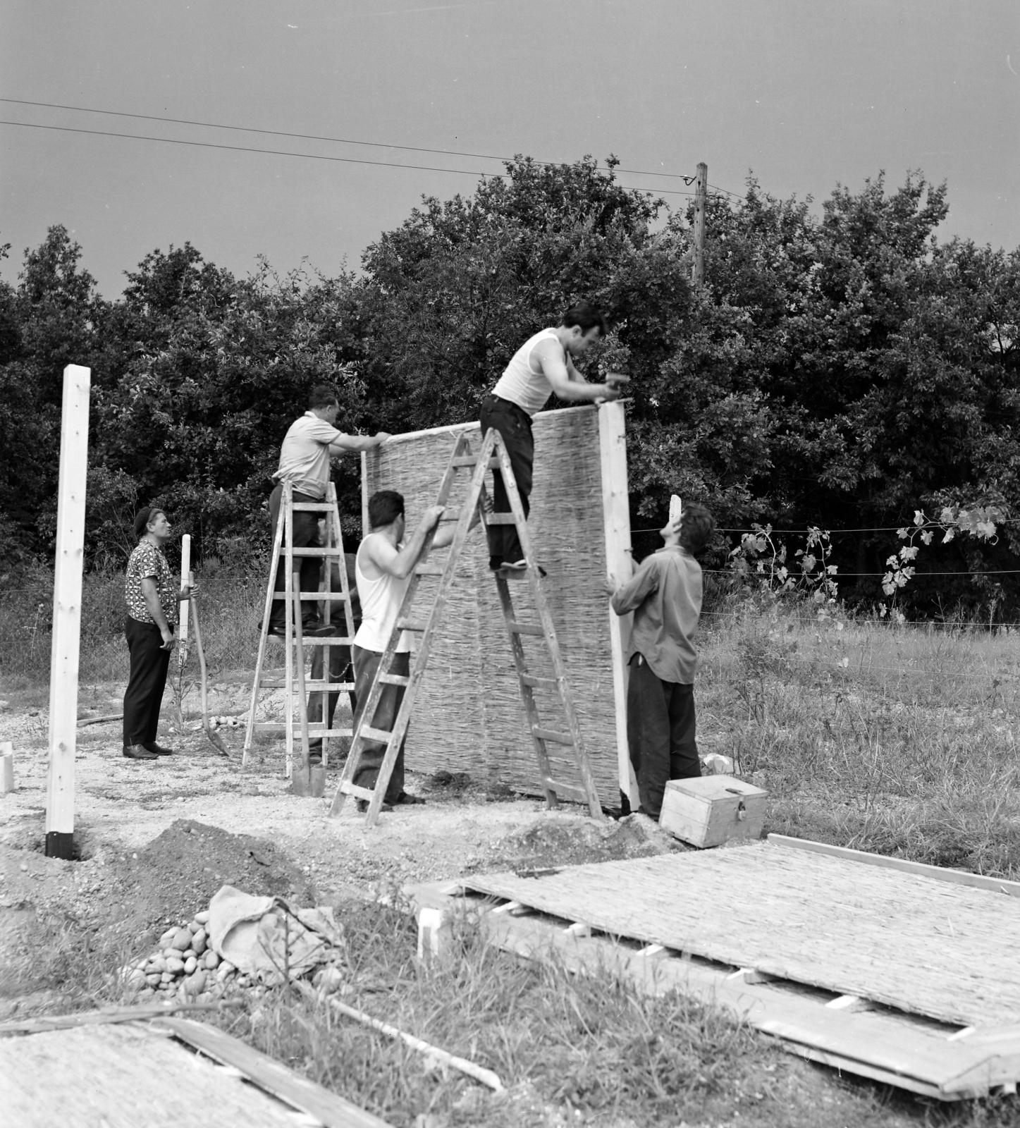 1969, Faragó György, Fortepan #261208