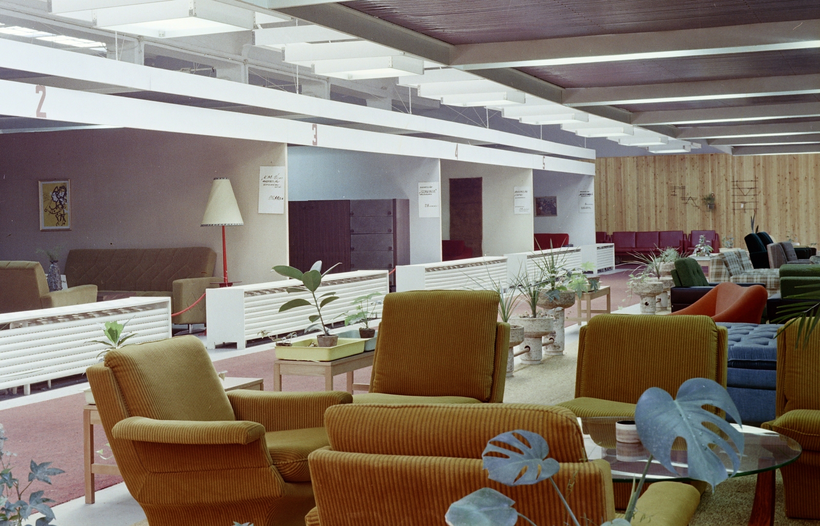 1972, Faragó György, colorful, Fortepan #261247