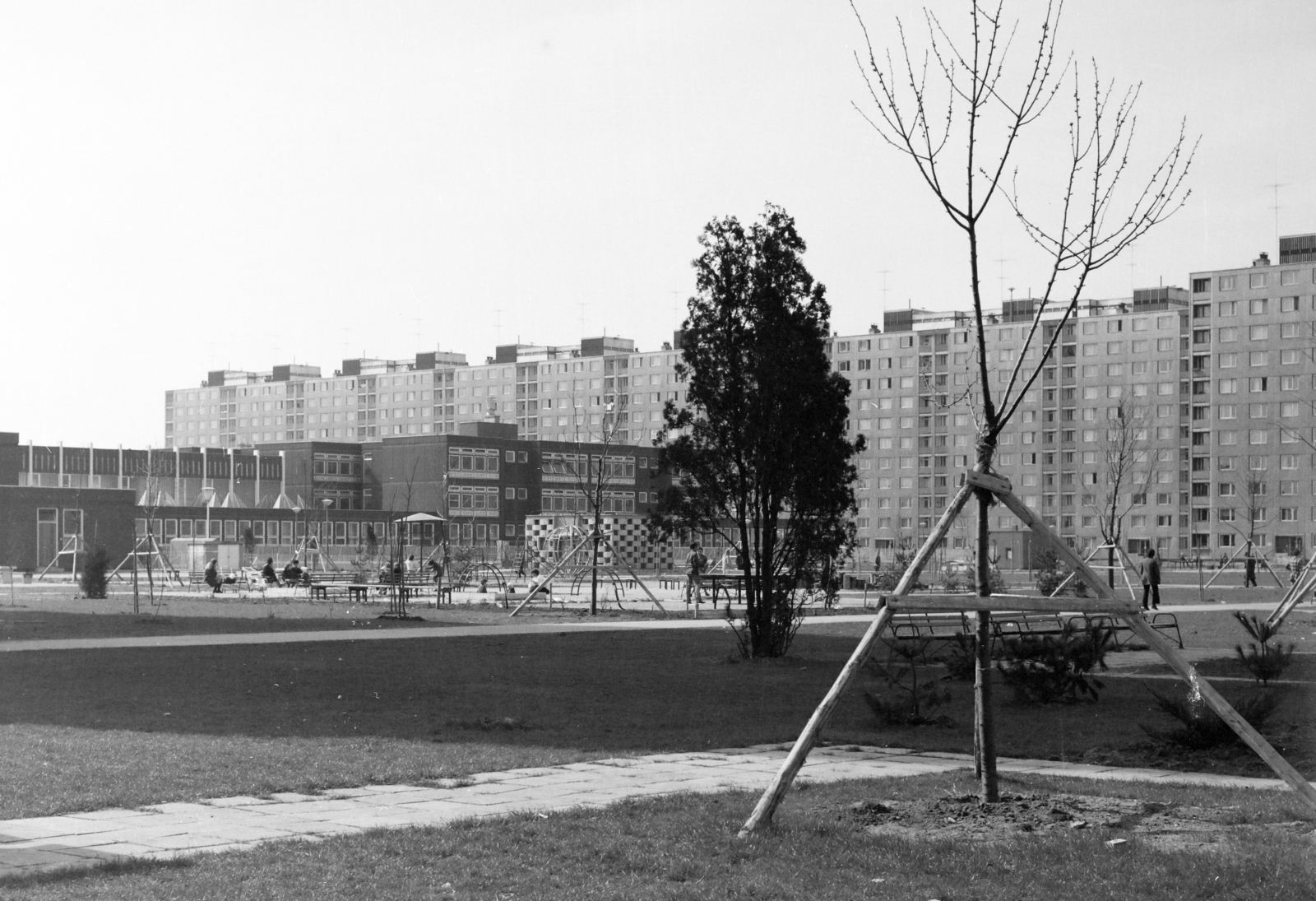 Hungary, Újpalota, Budapest XV., Kavicsos köz, szemben a Kavicsos Közi Általános Iskola, a "Lila iskola" (ma László Gyula Gimnázium és Általános Iskola). Háttérben a Nyírpalota (Hevesi Gyula) út 1-21 számú panelház., 1973, Faragó György, Budapest, Fortepan #261281