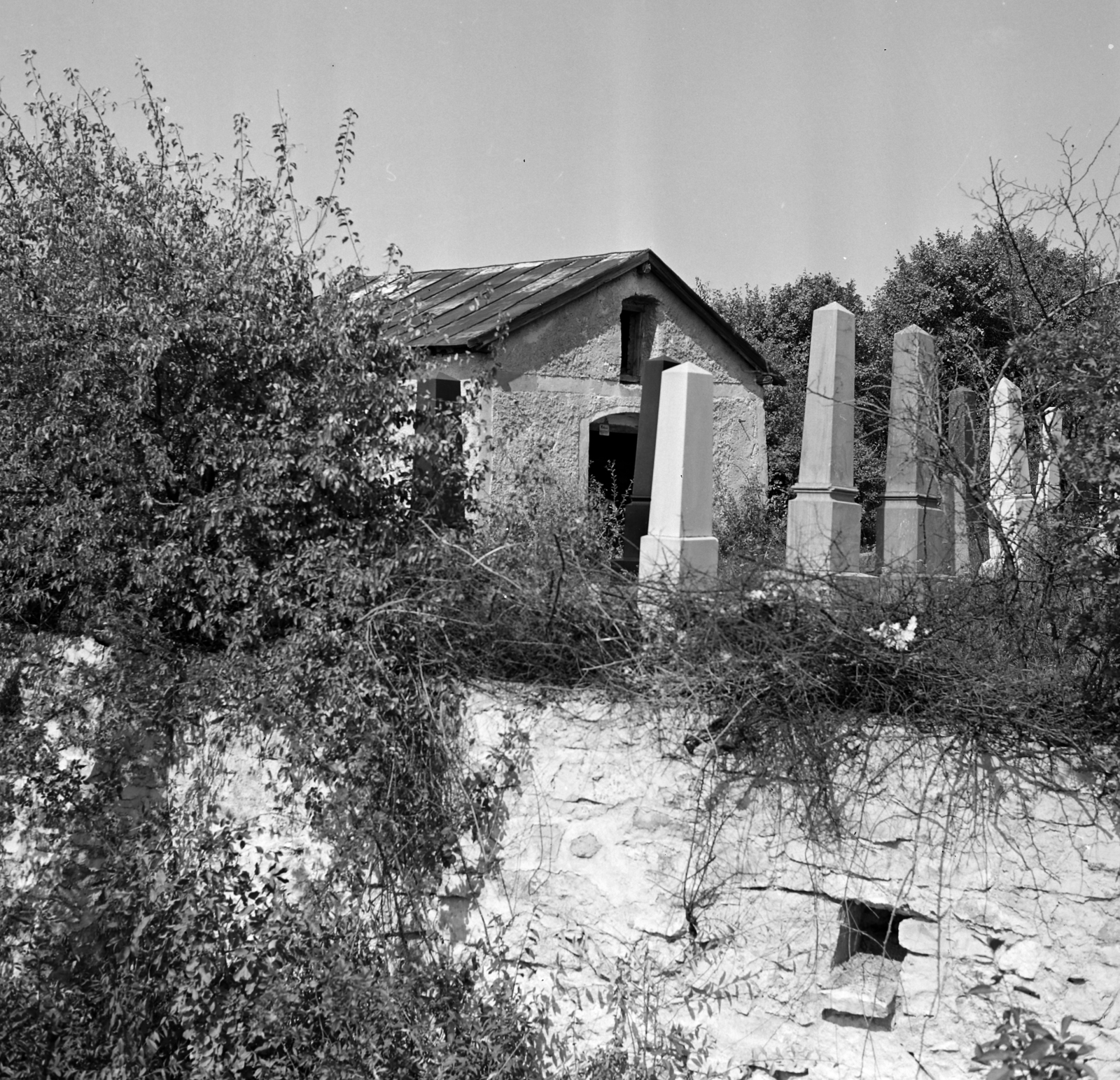 Hungary, Balatonfüred, régi zsidó temető., 1970, Faragó György, cemetery, Fortepan #261310