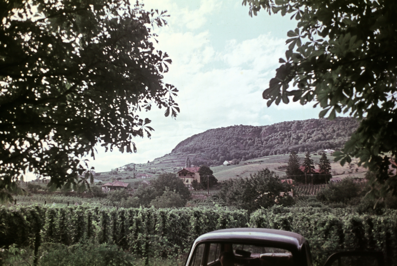 Hungary,Lake Balaton, Badacsonytomaj,Badacsony, a felvétel a Római út közelében készült., 1962, Faragó György, Fortepan #261515