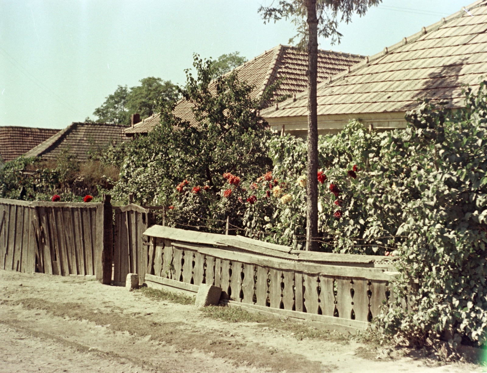 Hungary, Fő utca., 1954, Faragó György, colorful, forecourt, fence, Fortepan #261546