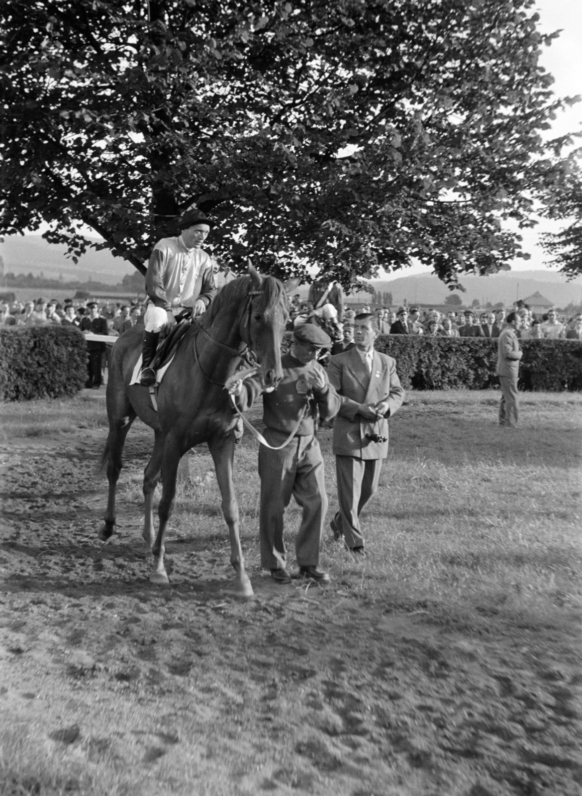 Csehország, Prága, ulice Radotínská 69/34., lóversenypálya (Dostihové závodiště Velká Chuchle / Chuchle Arena Praha)., 1956, Faragó György, ló, zsoké, Csehszlovákia, Fortepan #261643