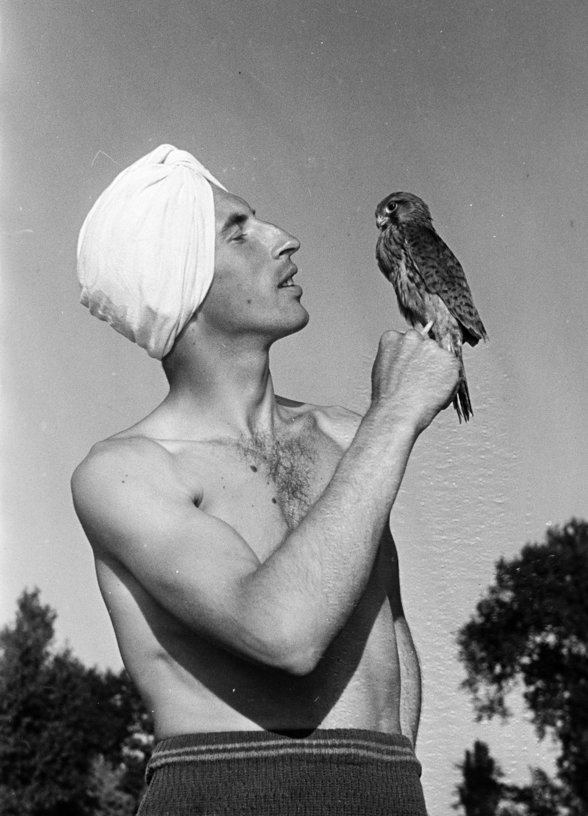 1953, Faragó György, bird of prey, turban, bird release, Fortepan #261704