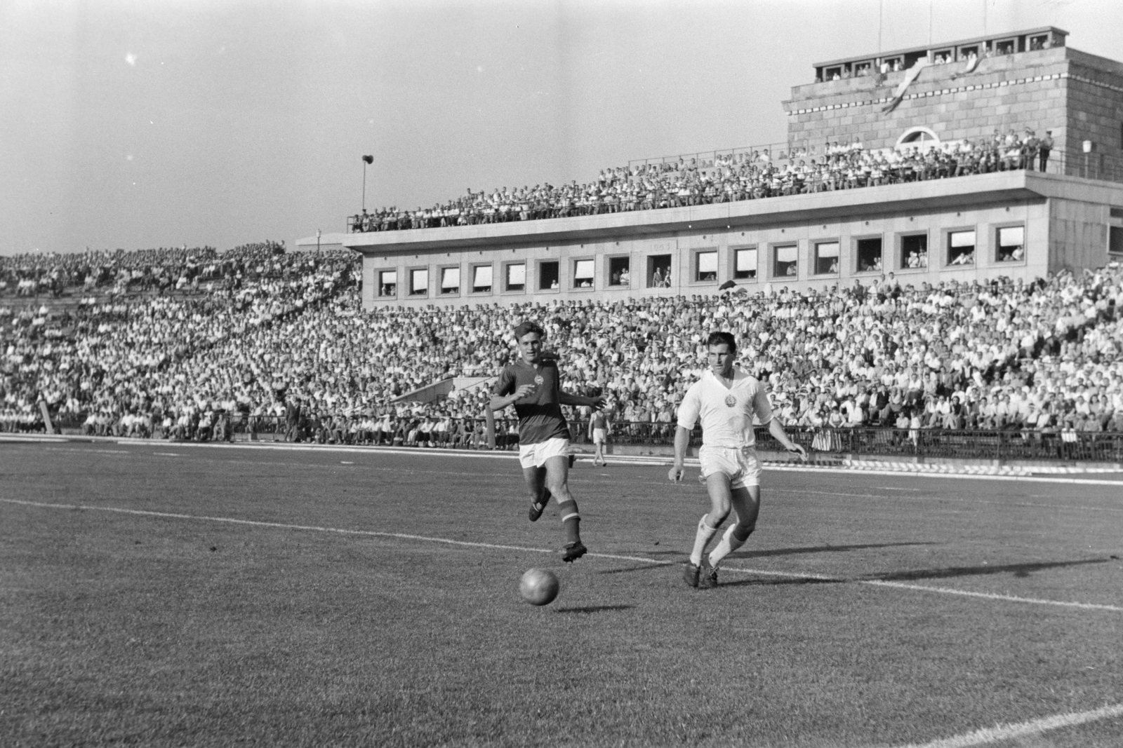 Hungary, Népstadion, Budapest XIV., 1957. június 23. Magyarország - Bulgária 4:1, világbajnoki selejtező, válogatott labdarúgó-mérkőzés. Tichy elől hazaadással ment a bolgár védő., 1957, Faragó György, Budapest, celebrity, Fortepan #261962