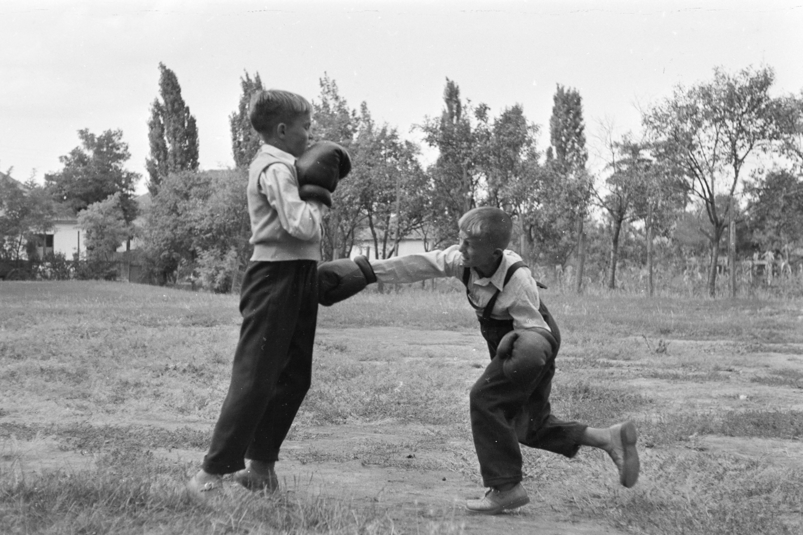 1960, Faragó György, box, boxing, Fortepan #261985