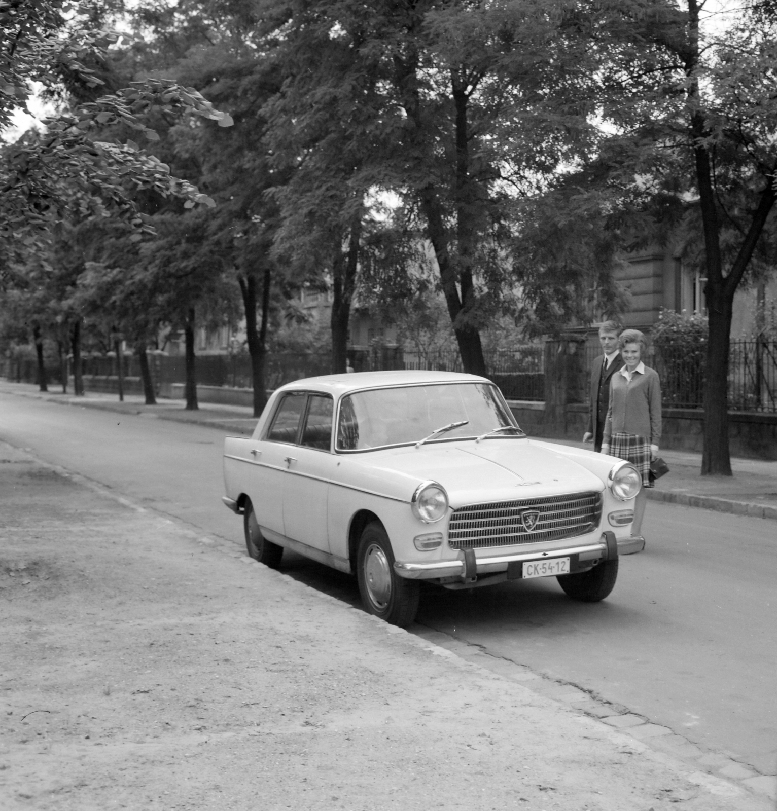 1960, Faragó György, Peugeot 404, rendszám, Fortepan #262029