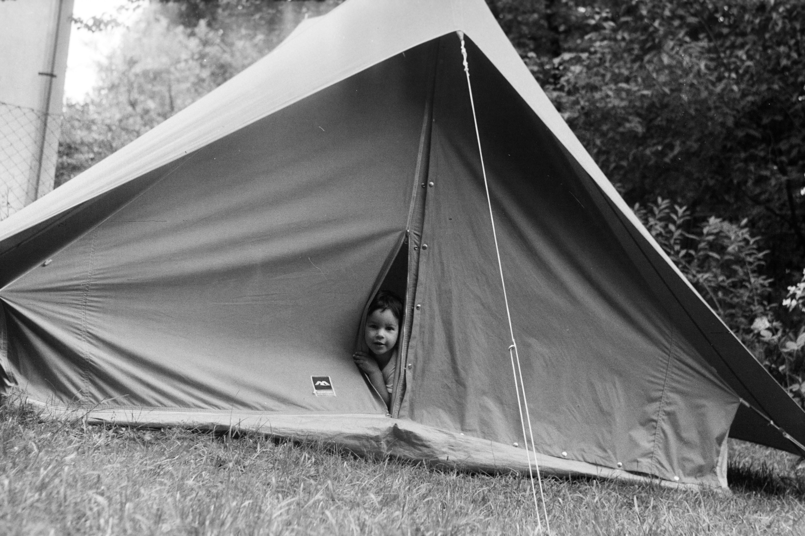 1965, Gyulai Gaál Krisztián, tent, curiosity, peeking, Fortepan #262070