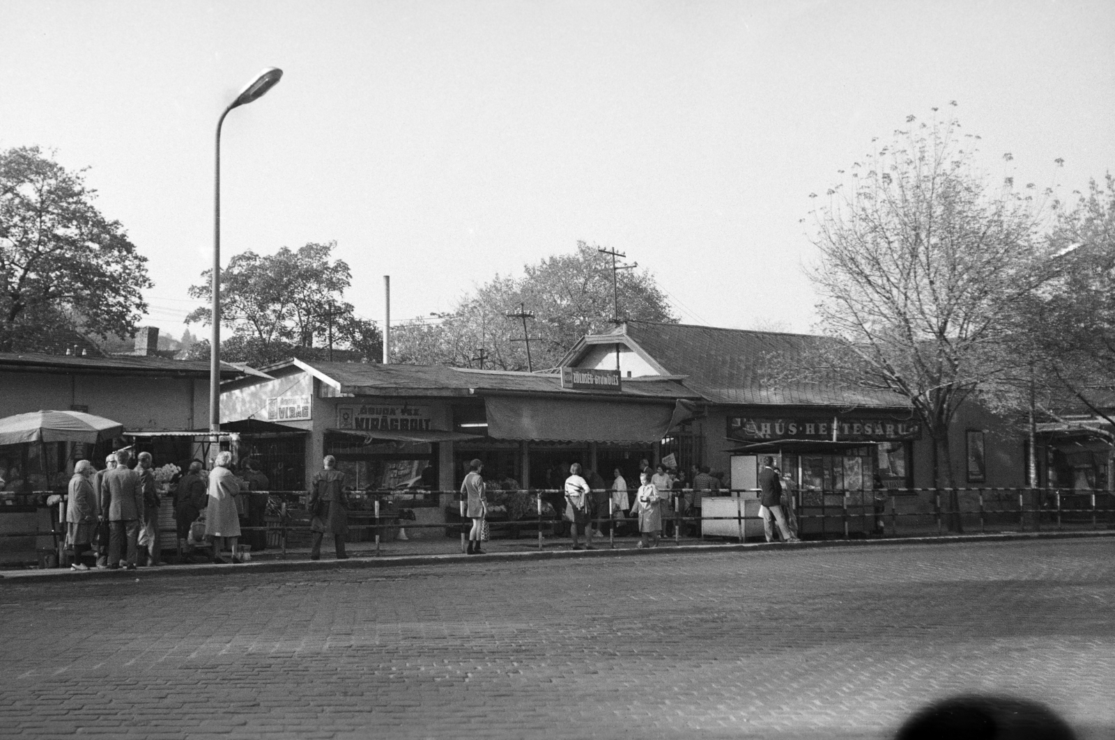Hungary, Budapest III., Kolosy tér, piac., 1977, Gyulai Gaál Krisztián, market, florist, greengrocer, Budapest, Fortepan #262104
