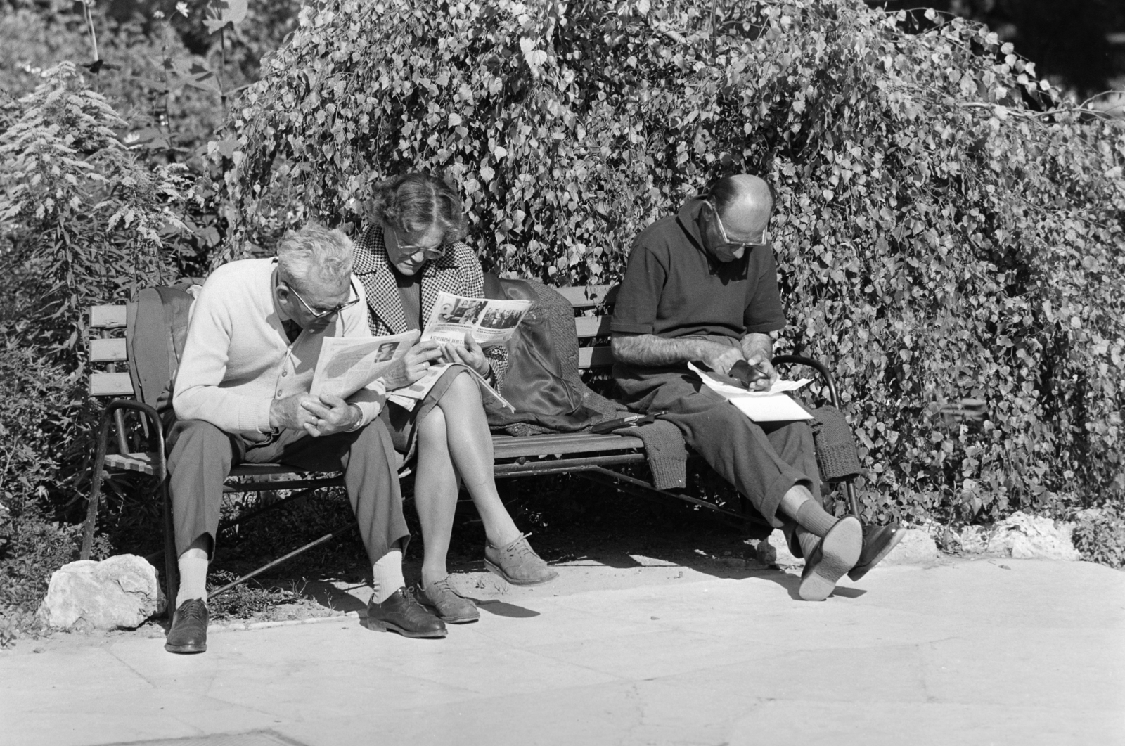 1967, Gyulai Gaál Krisztián, reading, newspaper, Fortepan #262351