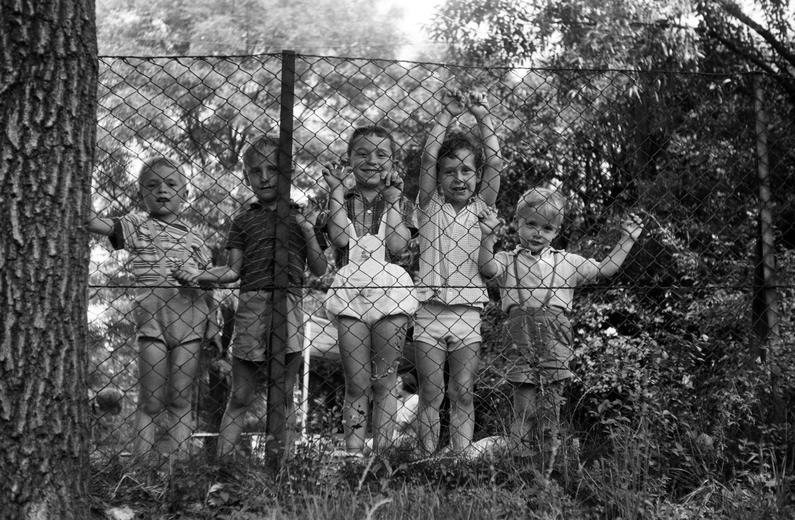 1970, Gyulai Gaál Krisztián, Best of, fence, boys, Fortepan #262406