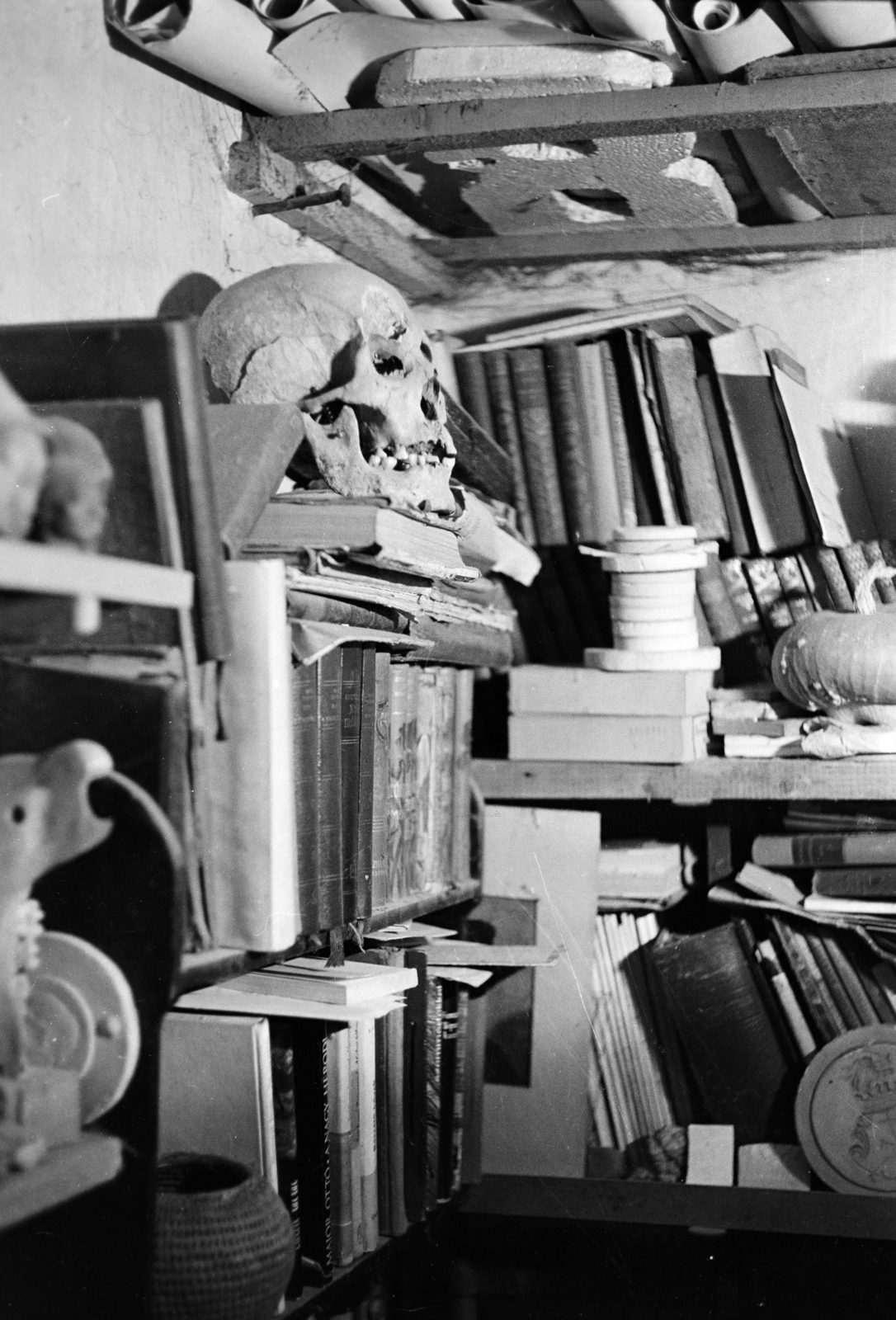 1967, Gyulai Gaál Krisztián, book, still life, bookshelf, skull, Fortepan #262413