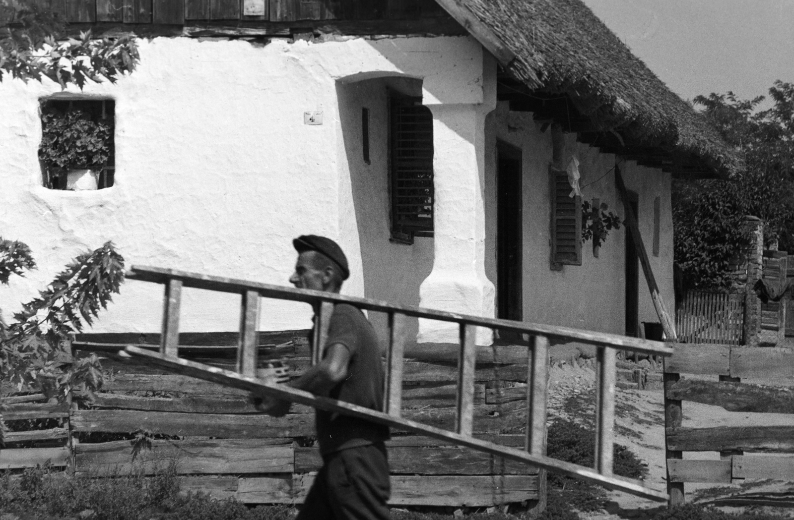 1967, Gyulai Gaál Krisztián, Best of, ladder, thatch roof, vernacular architecture, Fortepan #262415