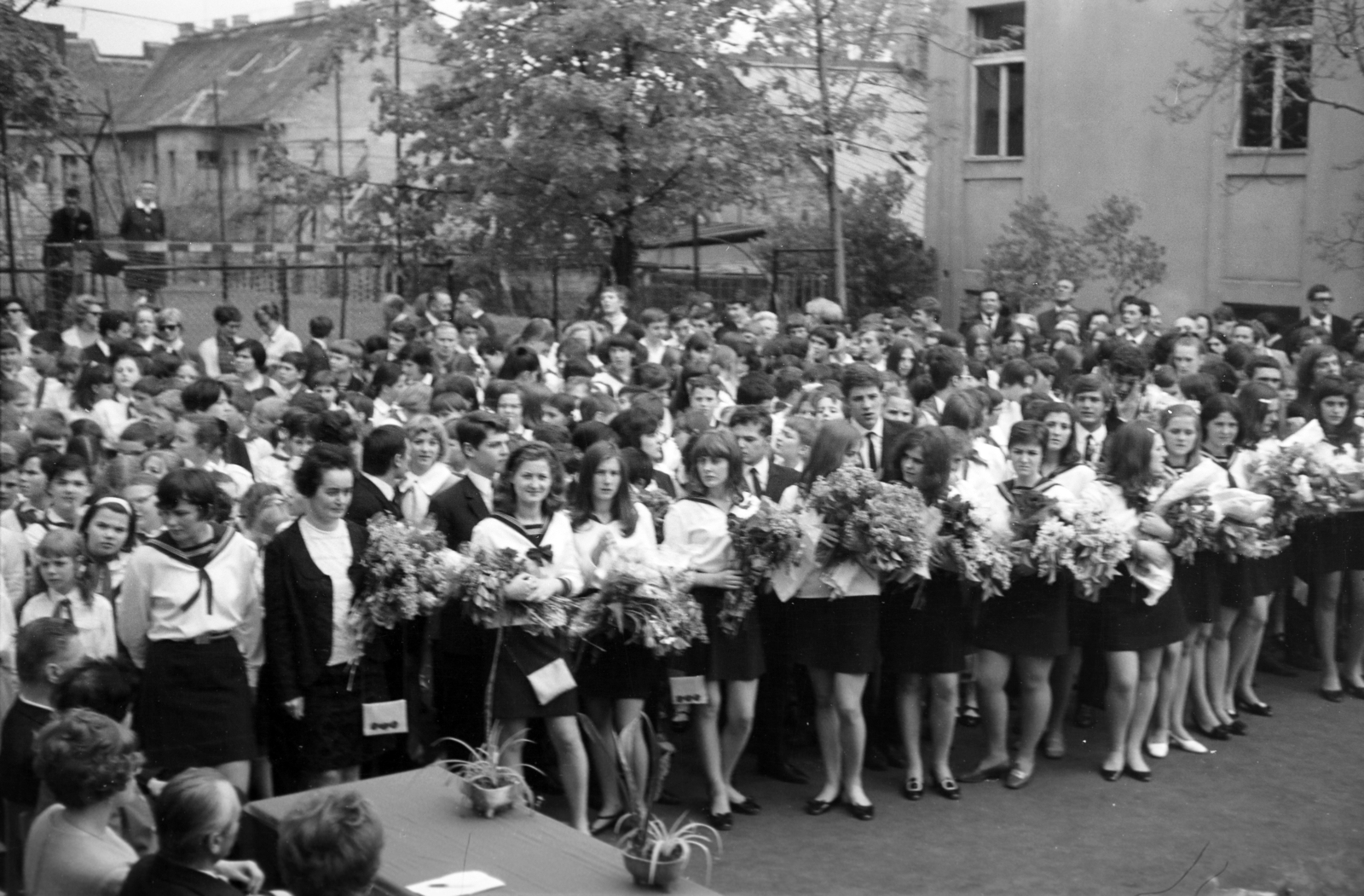 Hungary, Budapest II., Ady Endre utca 3., Ady Endre 12 évfolyamos iskola (eredetileg az Orsolya Rend “Szent Angela” leányiskolája, ma Szent Angéla Ferences Általános Iskola és Gimnázium)., 1973, Gyulai Gaál Krisztián, Budapest, Fortepan #262434