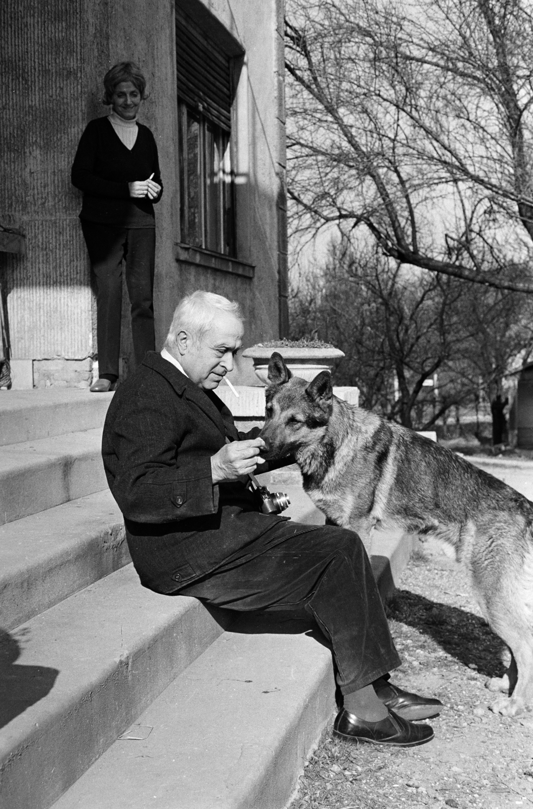 Hungary, 1971, Gyulai Gaál Krisztián, dog, smoking, camera, Fortepan #262449