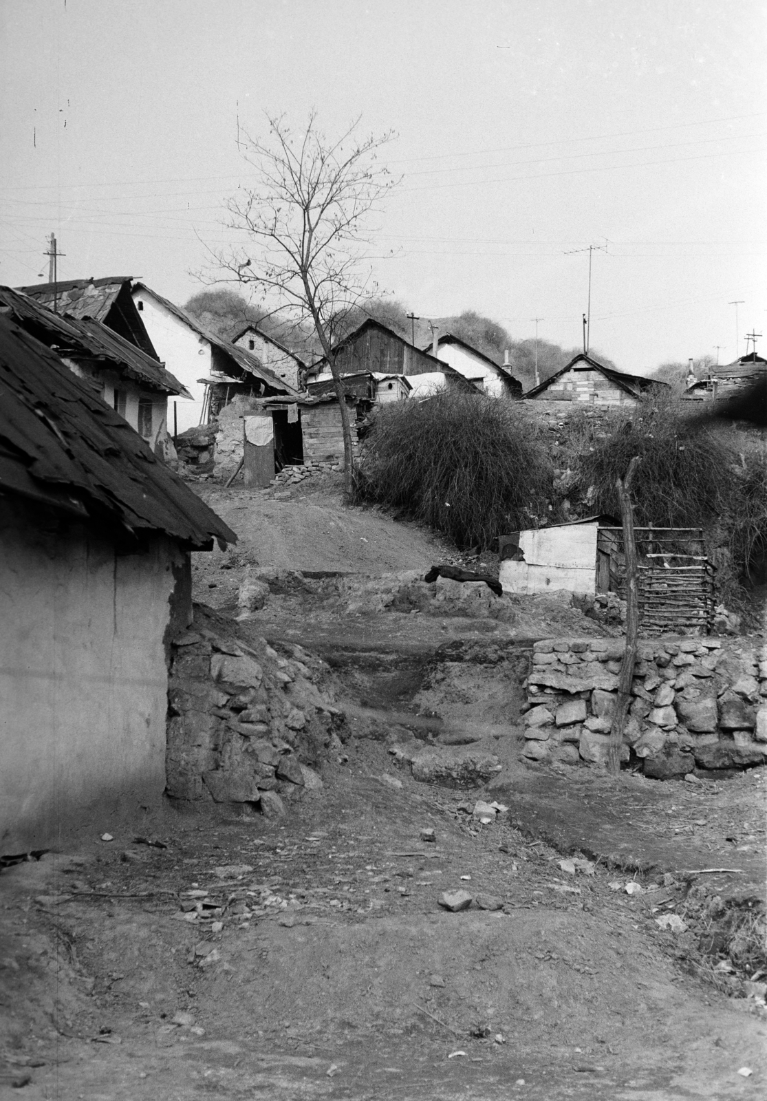 Hungary, Salgótarján, Pécskő út, a pécskődombi (kopaszdombi) cigánytelep., 1976, Gyulai Gaál Krisztián, Fortepan #262569