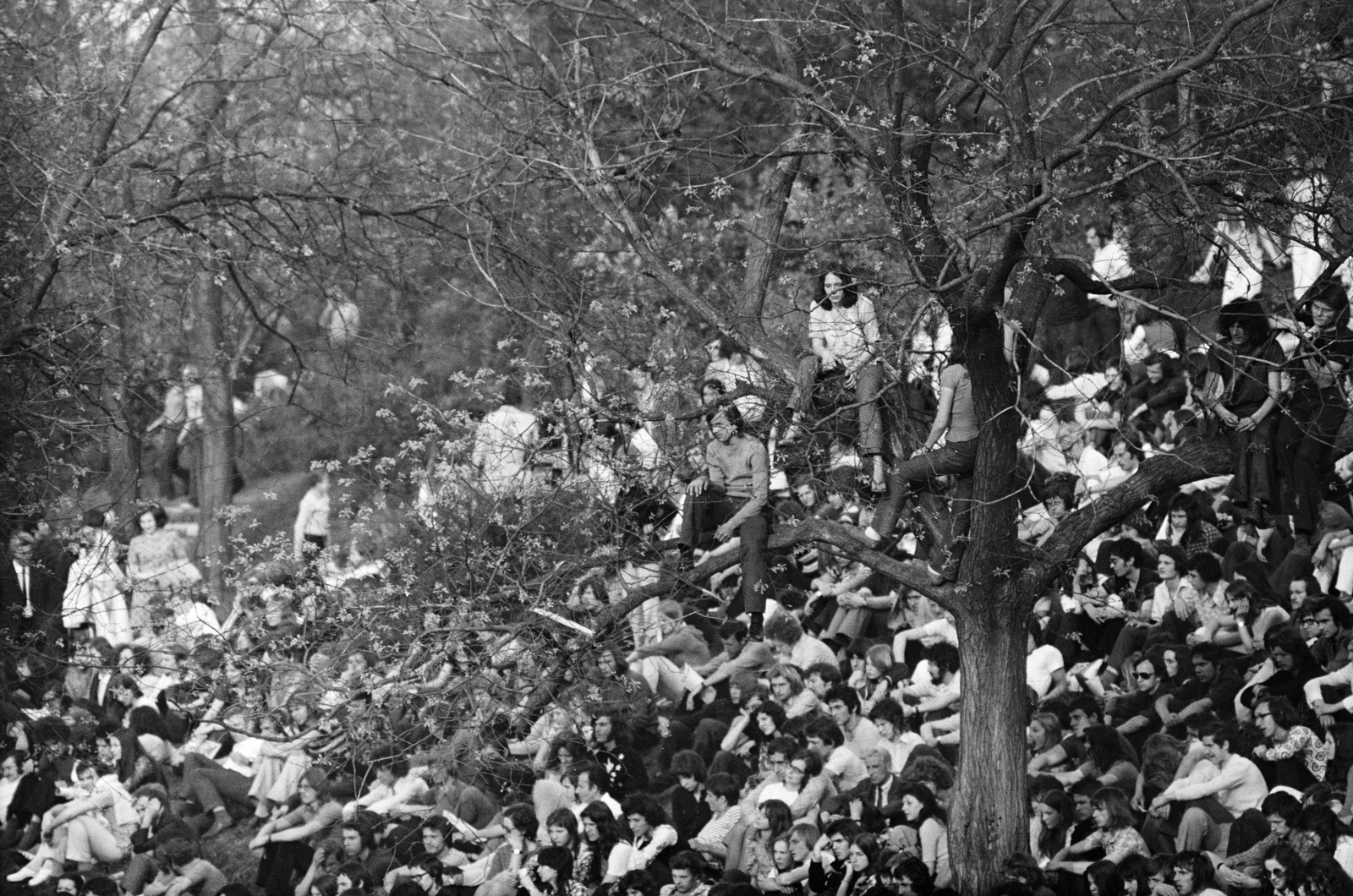Hungary, Tabán, Budapest I., Hegyalja út - Sánc utca - Orom utca határolta terület, a május 1-i Mini-Syrius-LGT koncert közönsége., 1973, Gyulai Gaál Krisztián, Budapest, Fortepan #262592