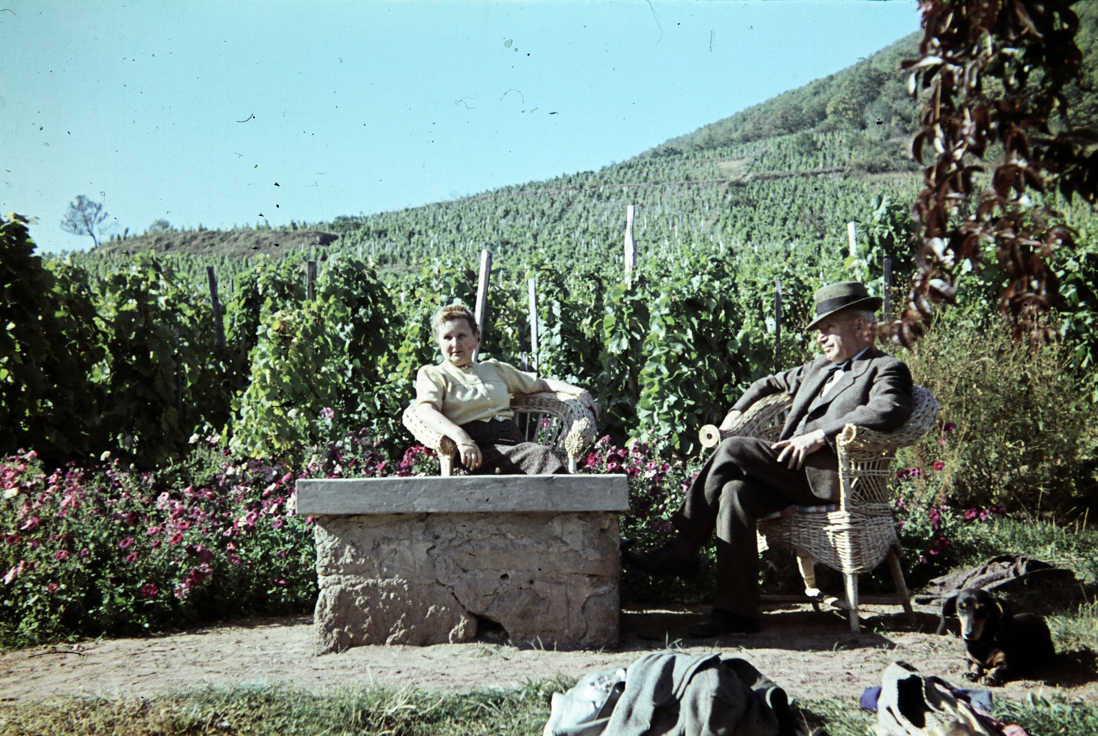 Hungary,Lake Balaton, Badacsonytomaj,Badacsony, 1943, Kovács Györgyi, colorful, hat, grape, harvest, old person, Fortepan #263363
