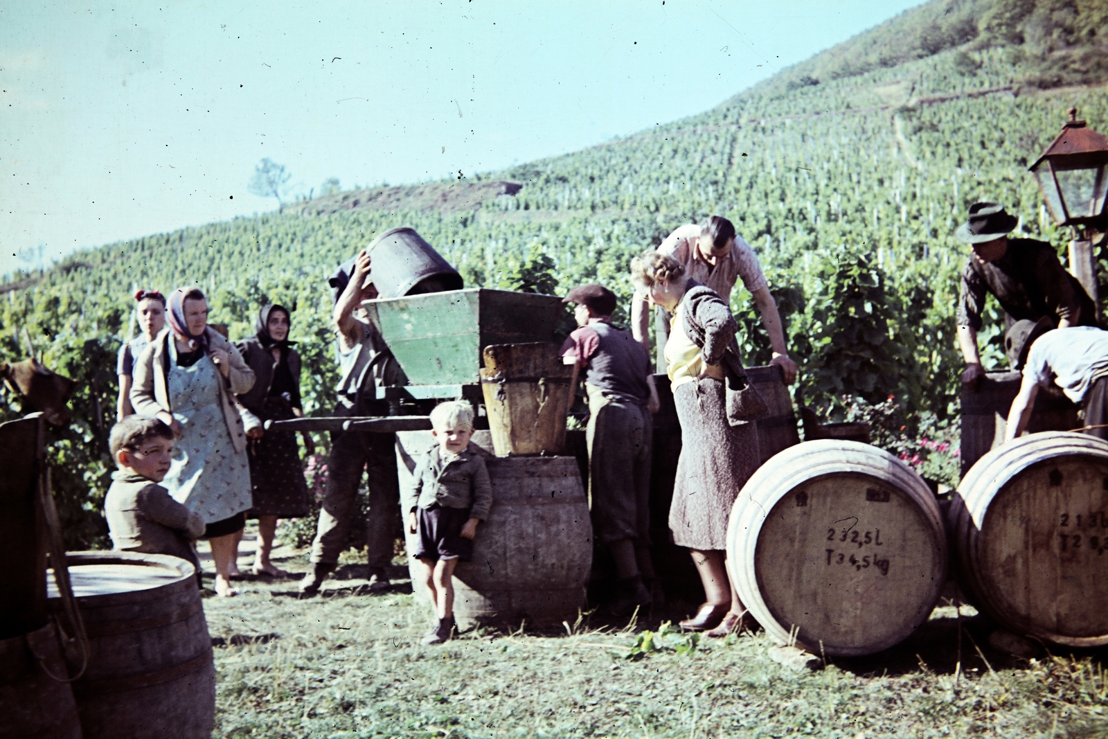 Hungary,Lake Balaton, Badacsonytomaj,Badacsony, szüret., 1943, Kovács Györgyi, colorful, harvest, barrel, oil lamp, grape, wine press, Fortepan #263372