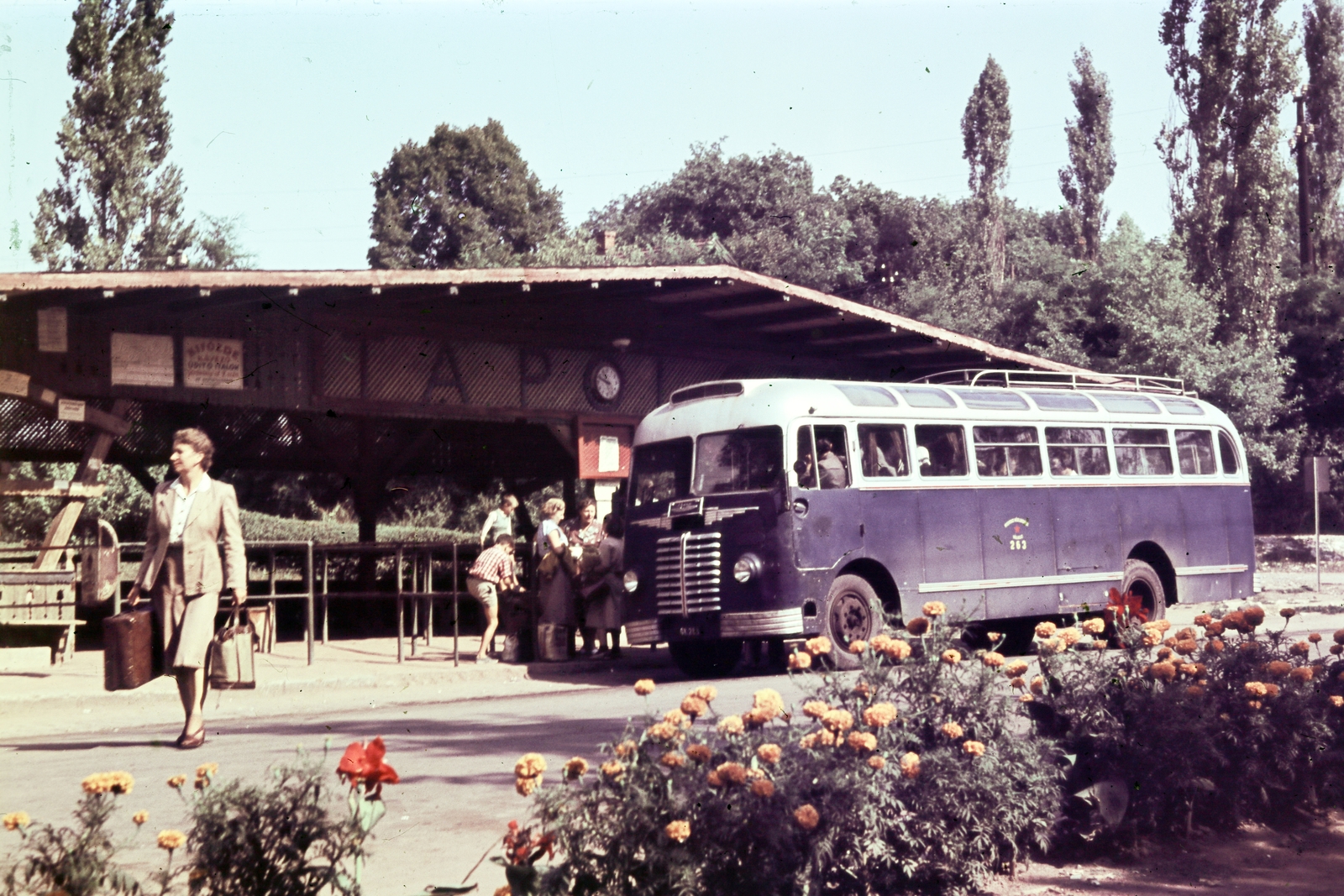 Hungary, Miskolc,Miskolctapolca, autóbusz-végállomás., 1954, Kovács Györgyi, colorful, bus, bus stop, Fortepan #263390