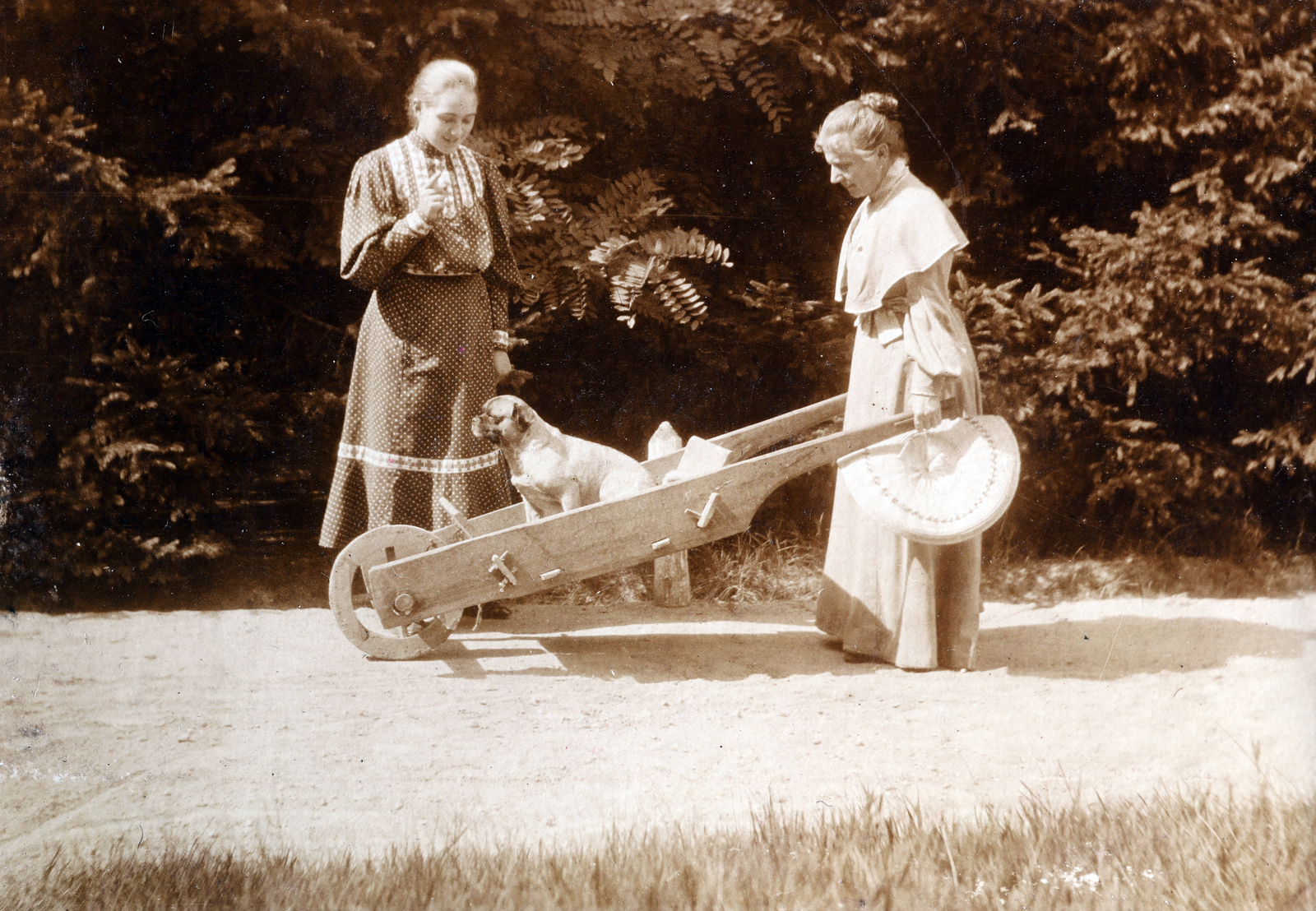 Hungary, 1911, Zichy kúria, Zala, dog, wheelbarrow, Fortepan #263527