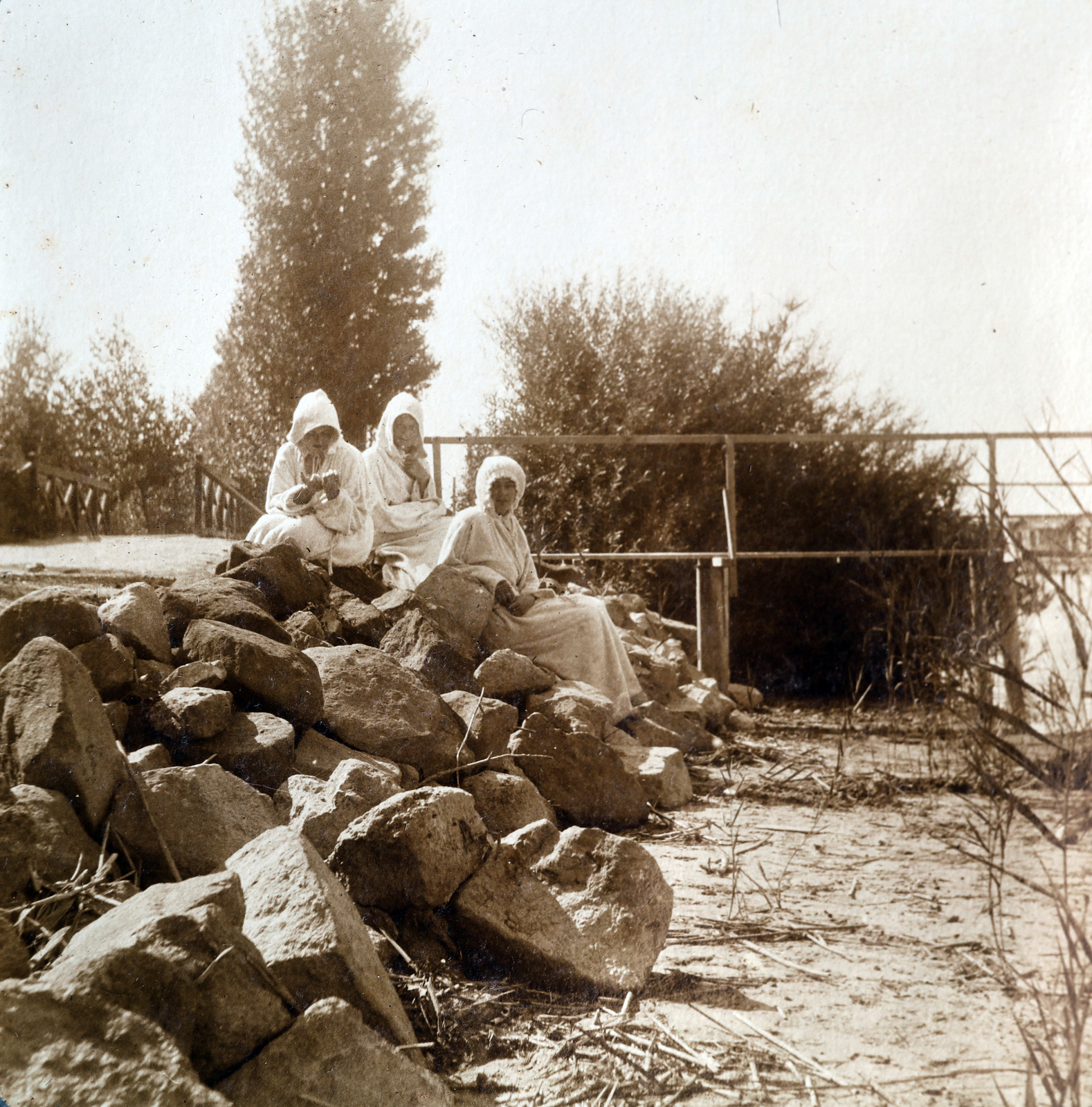 Hungary,Lake Balaton, Siófok, Balaton-part, háttérben jobbra fürdőházak., 1914, Zichy kúria, Zala, Fortepan #263608
