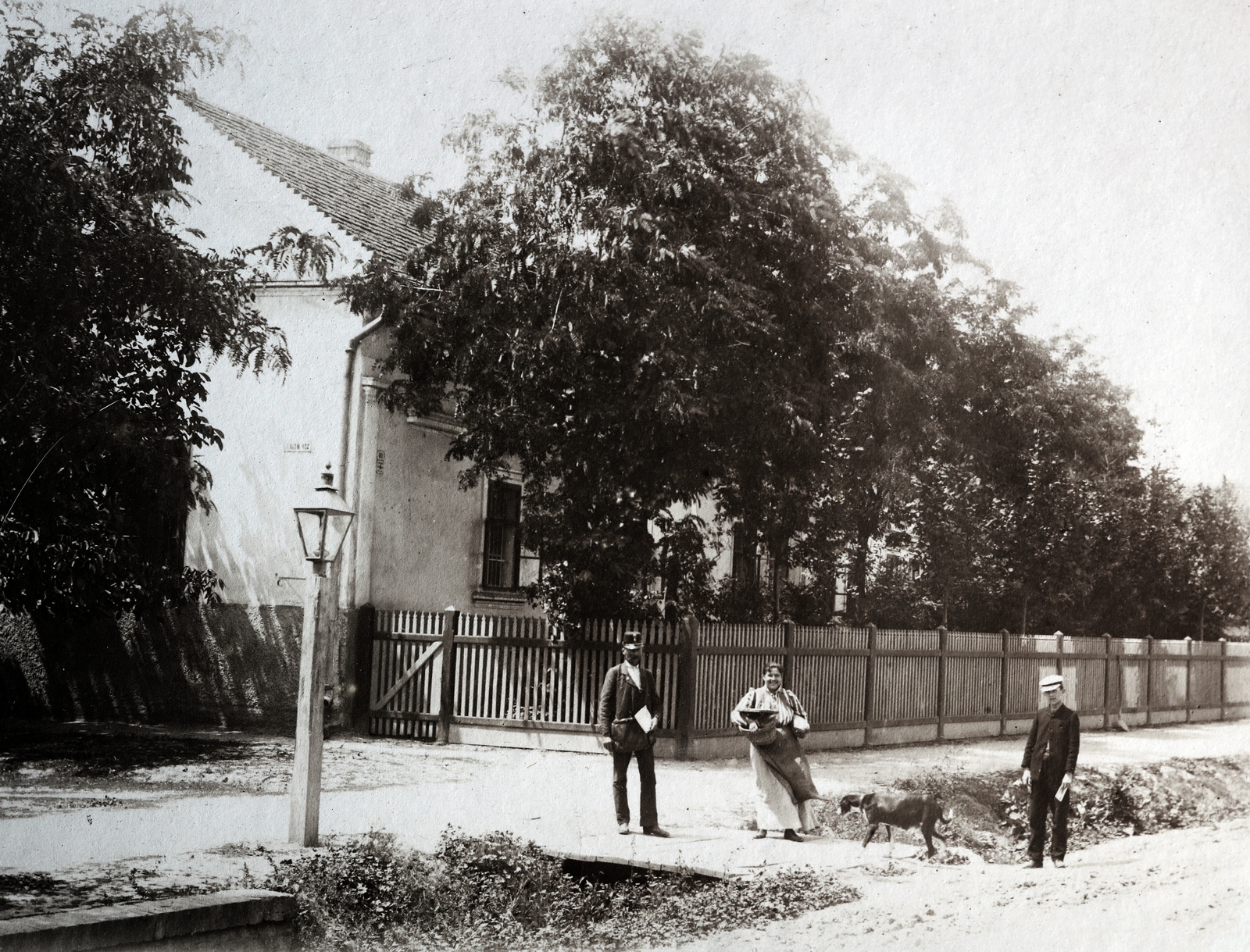 1909, Zichy kúria, Zala, lady, open ditch, street view, street lamp, lath fence, goat, Fortepan #263777