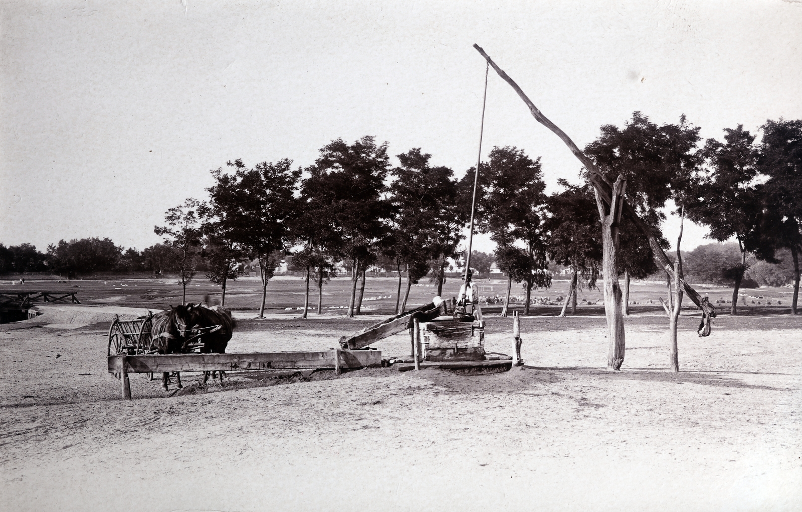 1915, Zichy kúria, Zala, village, chariot, shadoof, water trough, well, horse, drinking, coach, Fortepan #263844