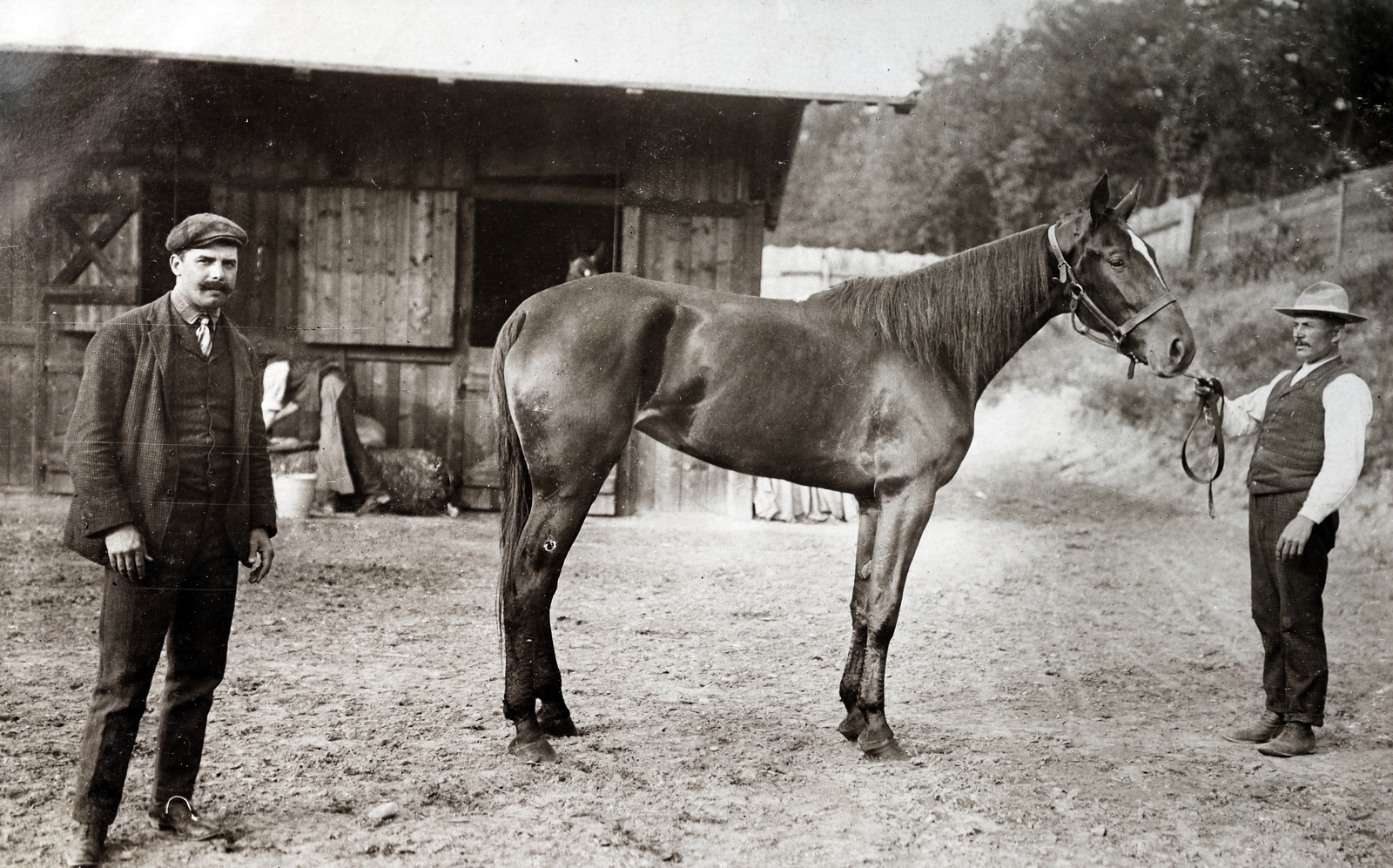 1913, Zichy kúria, Zala, moustache, horse, stable, Fortepan #263864