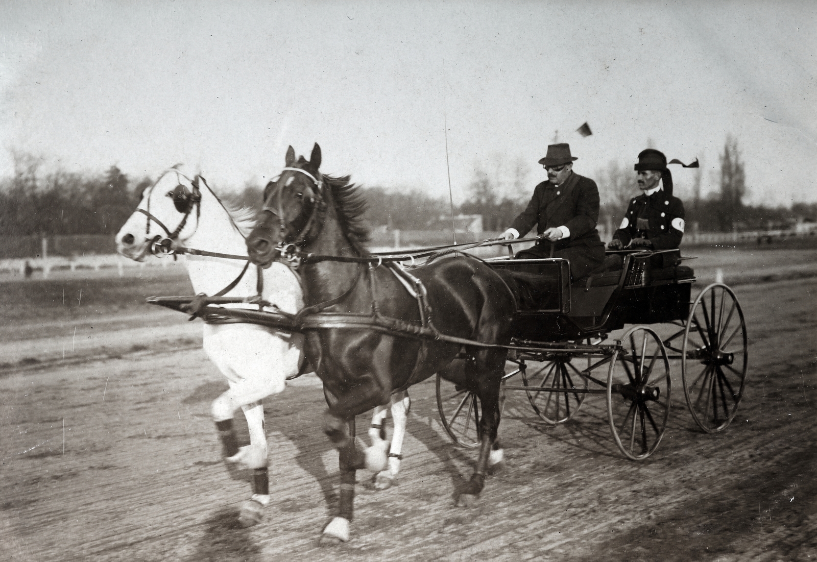 1912, Zichy kúria, Zala, horse, teamster, coach, Fortepan #263865