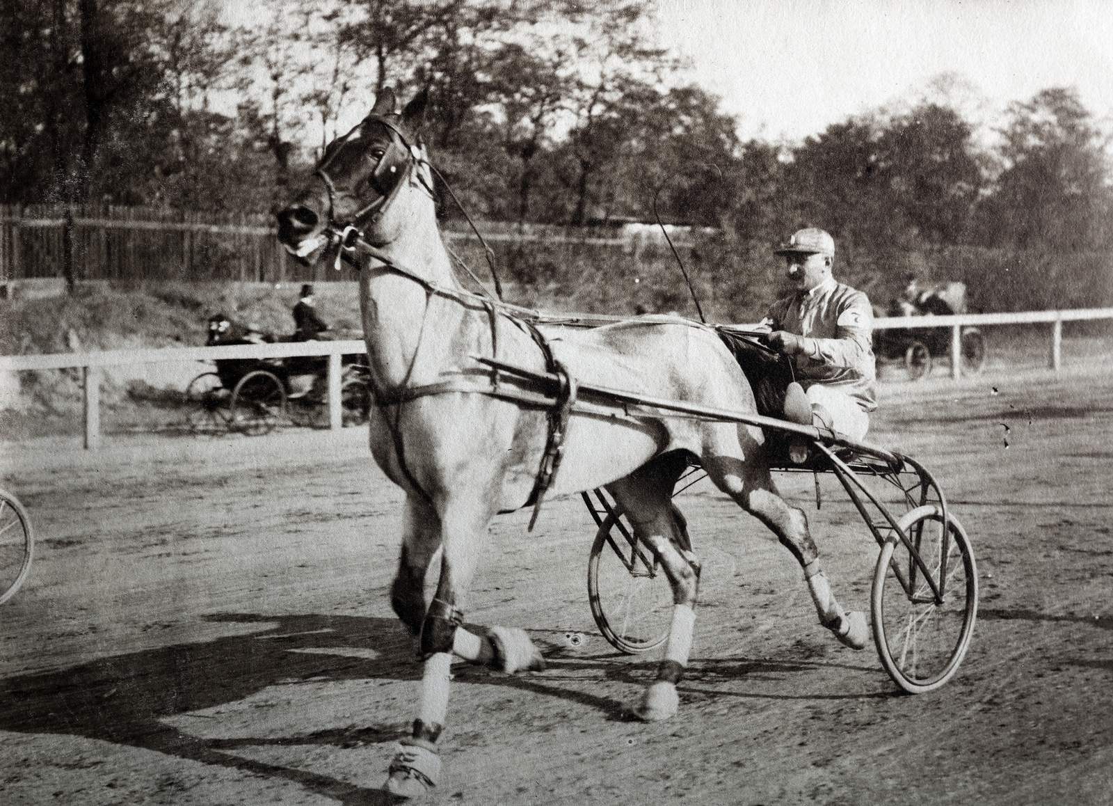 1913, Zichy kúria, Zala, horse race, Fortepan #263903