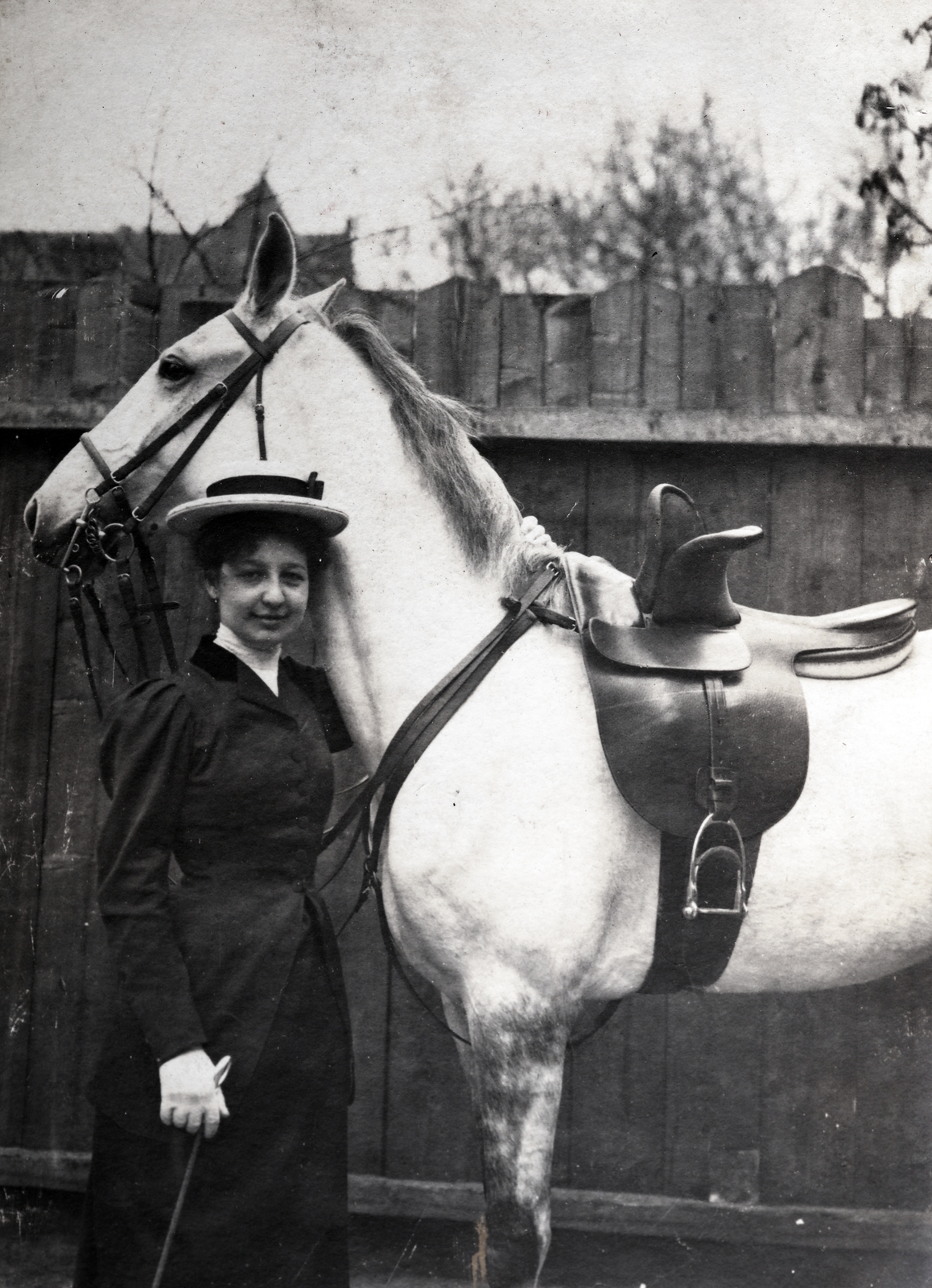 1913, Zichy kúria, Zala, women's saddles, saddle, horse, Fortepan #263916