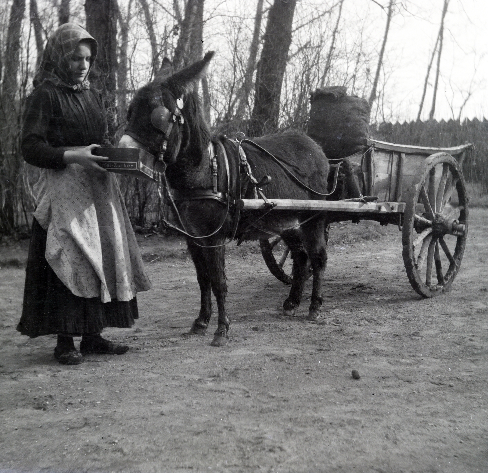 1912, Zichy kúria, Zala, szamár, kordé, Fortepan #264009